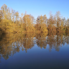 Domaine du Grand Félin