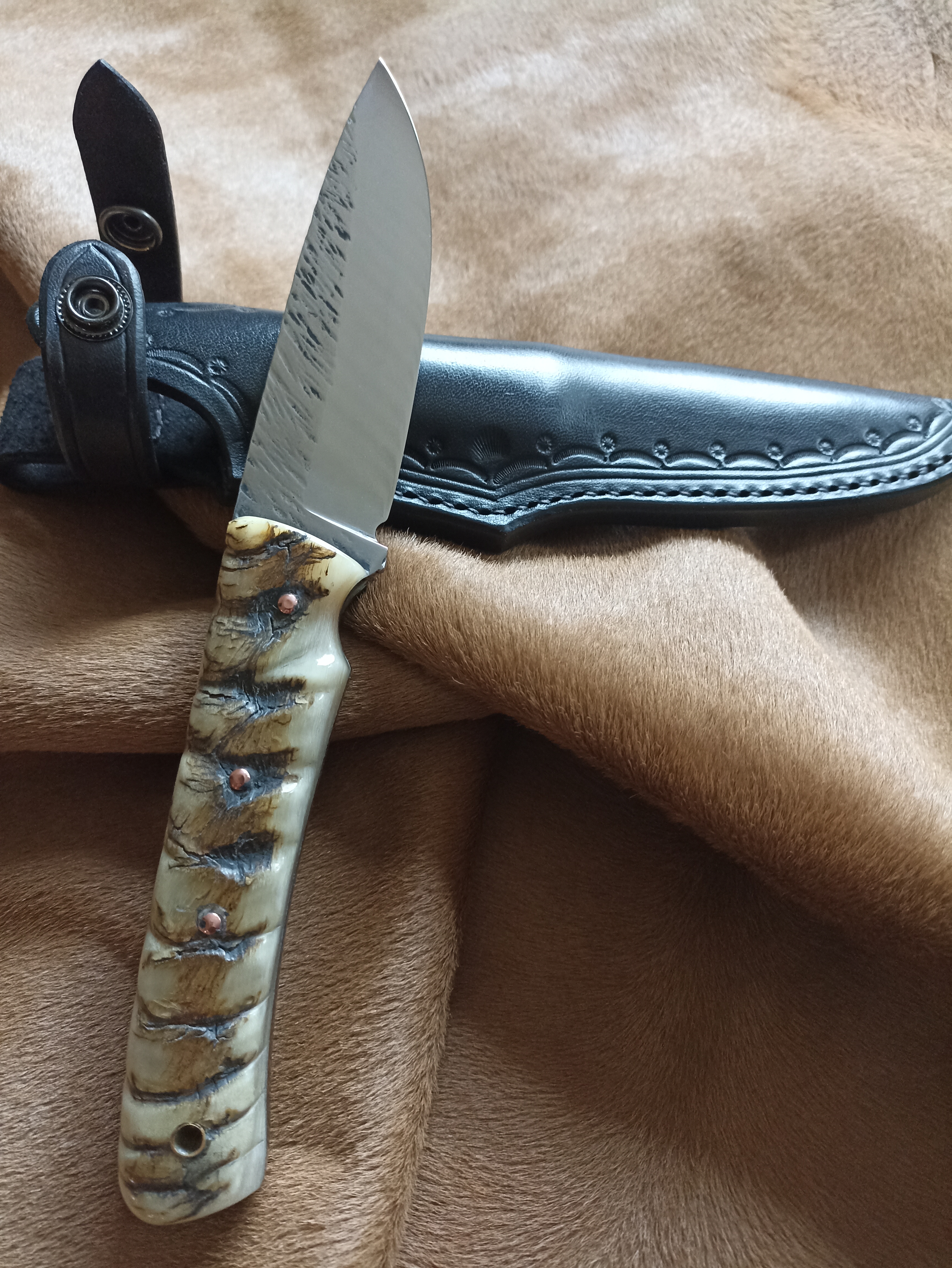 Carnivorae, couteaux artisanaux