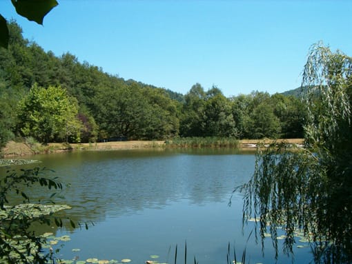 Meublé de Tourisme LASTEYRIE - photo 2