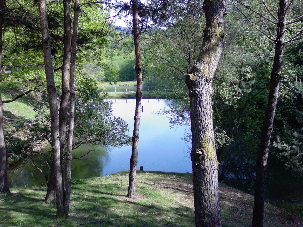 Meublé de Tourisme LASTEYRIE - photo 5