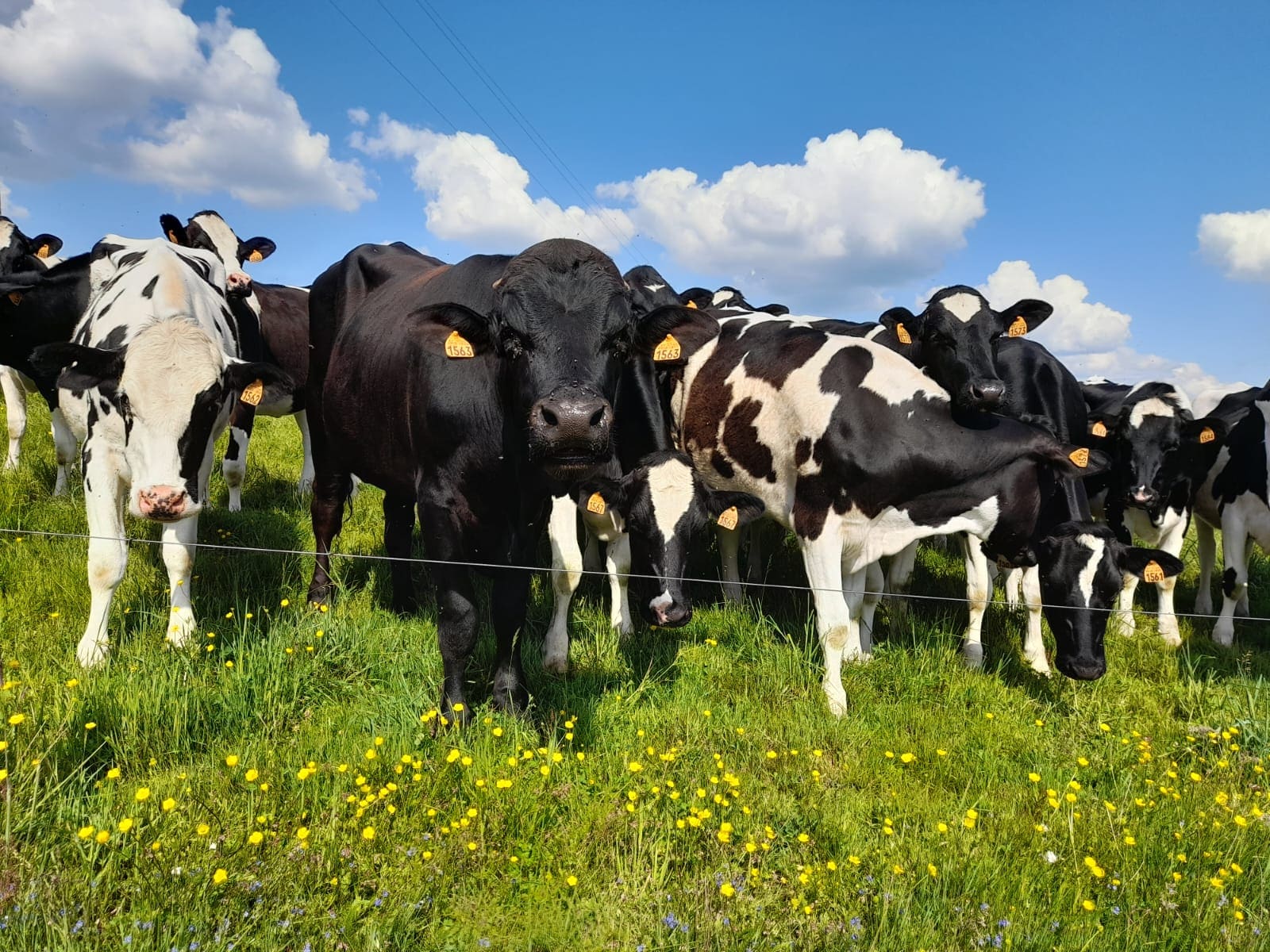 La Ferme du Mazet
