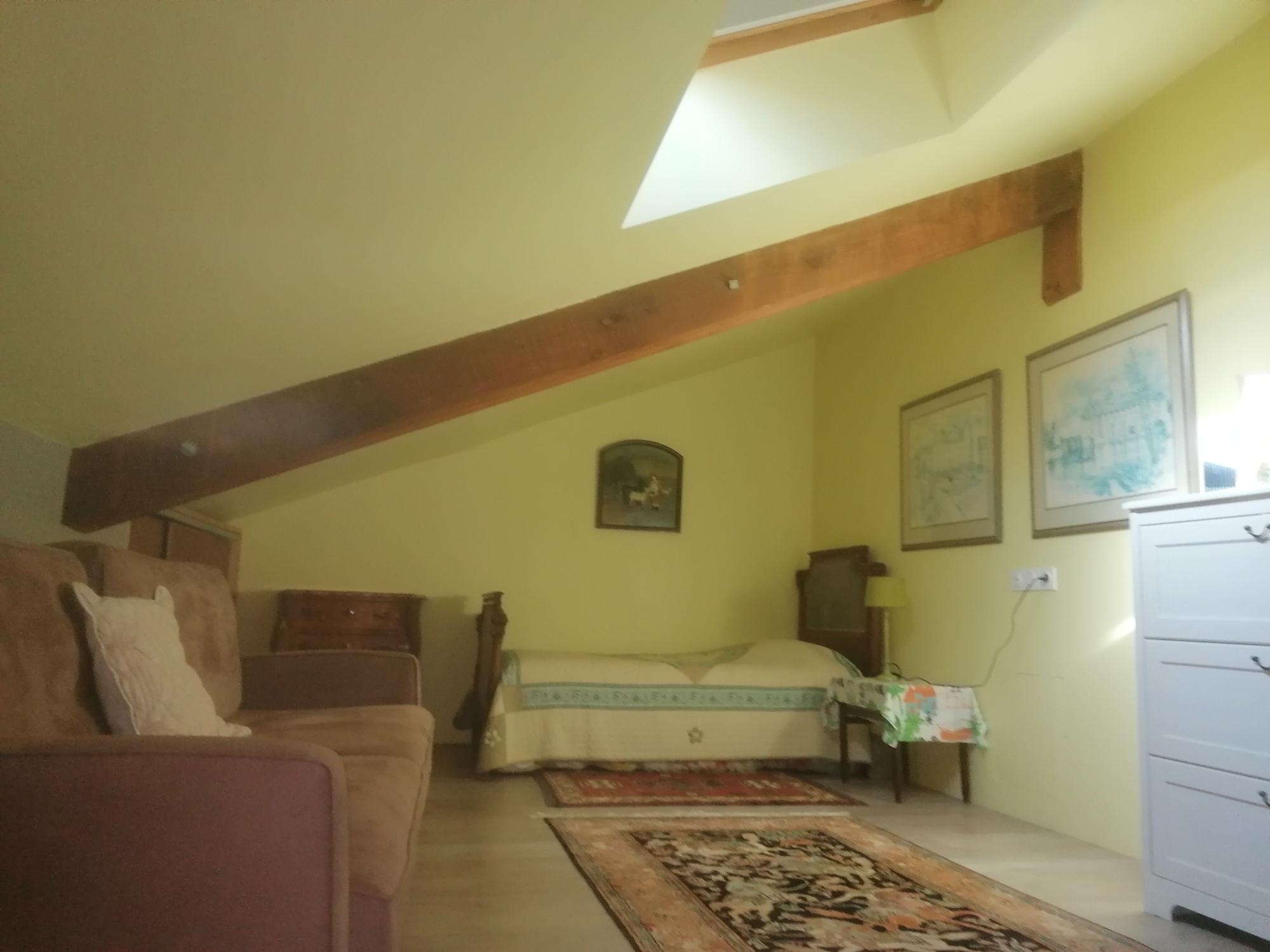 Des Pins & des Chênes, Cagnotte - photo 6