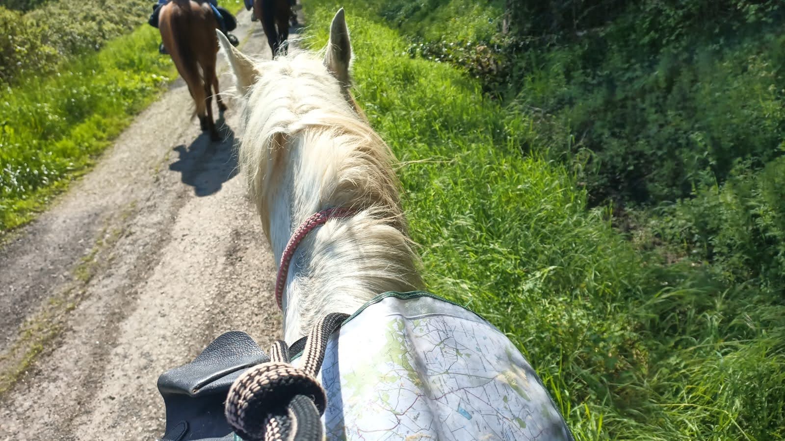 Route des Cardinaux, Sérigny - photo 3