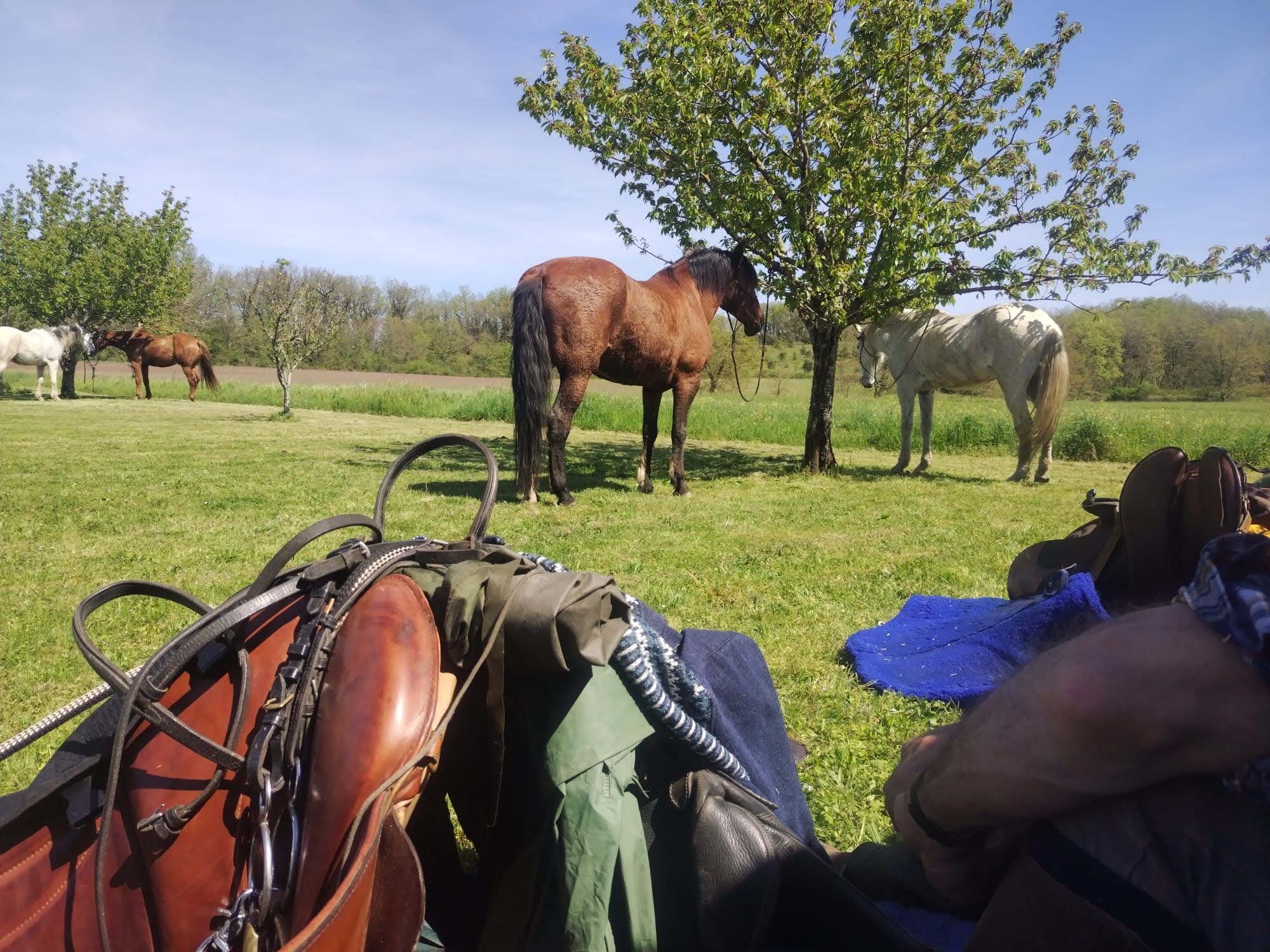 Route des Cardinaux, Sérigny - photo 2