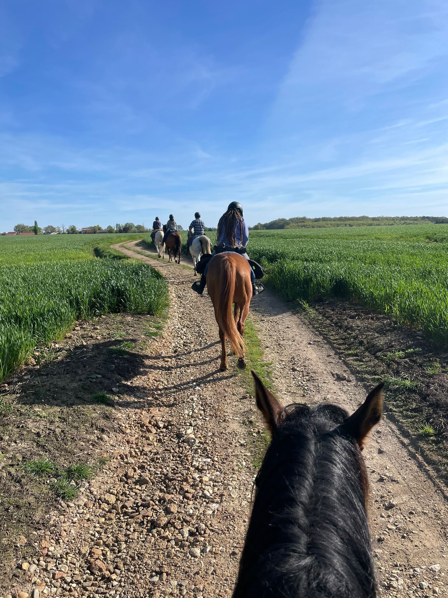Route des Cardinaux, Sérigny
