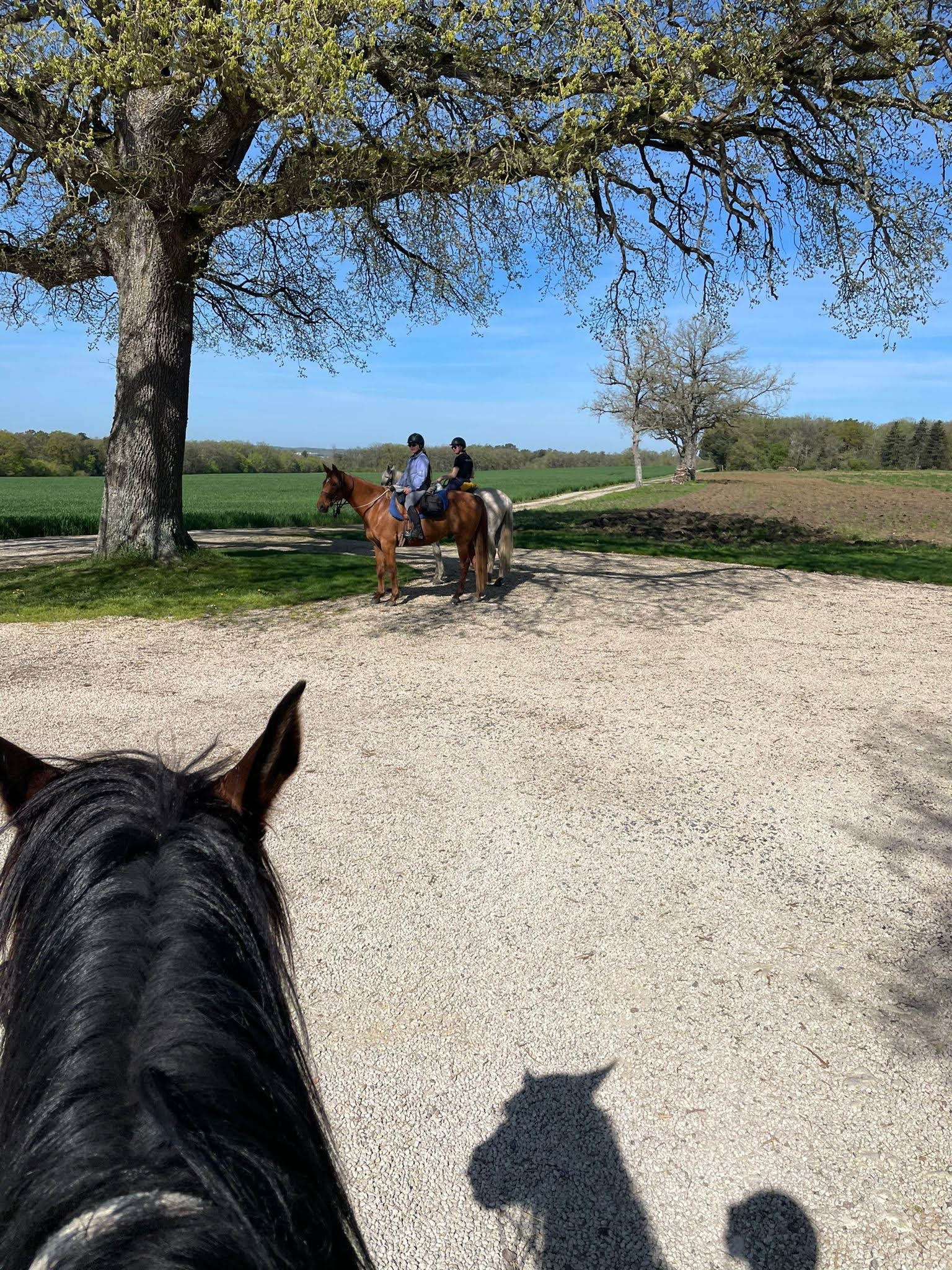 Route des Cardinaux, Sérigny - photo 4