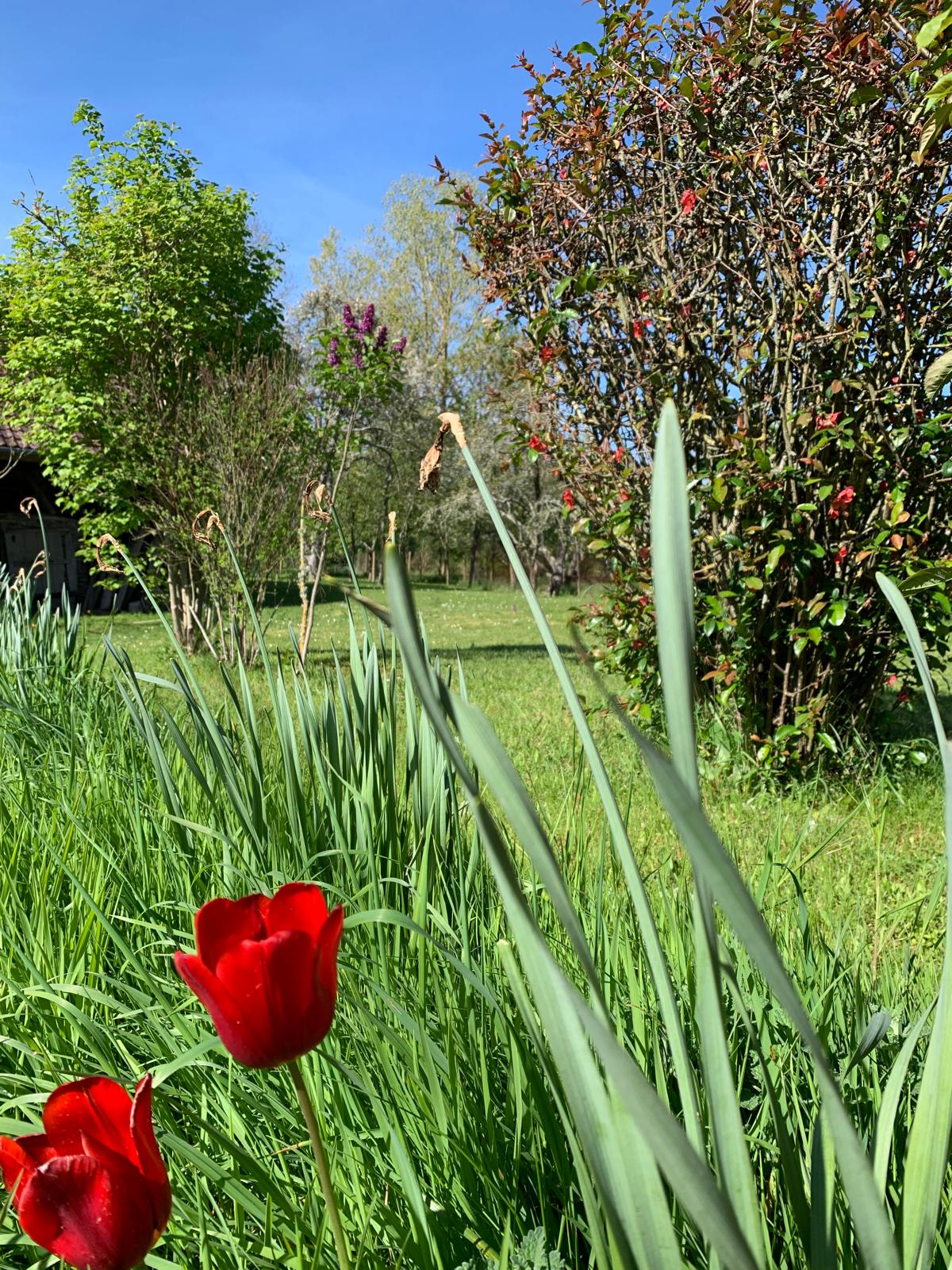 Meublé de M. GRELAUD, Bétête - photo 5