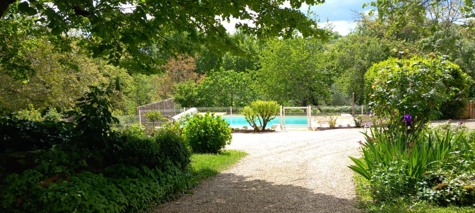 La Vigne — photo 2