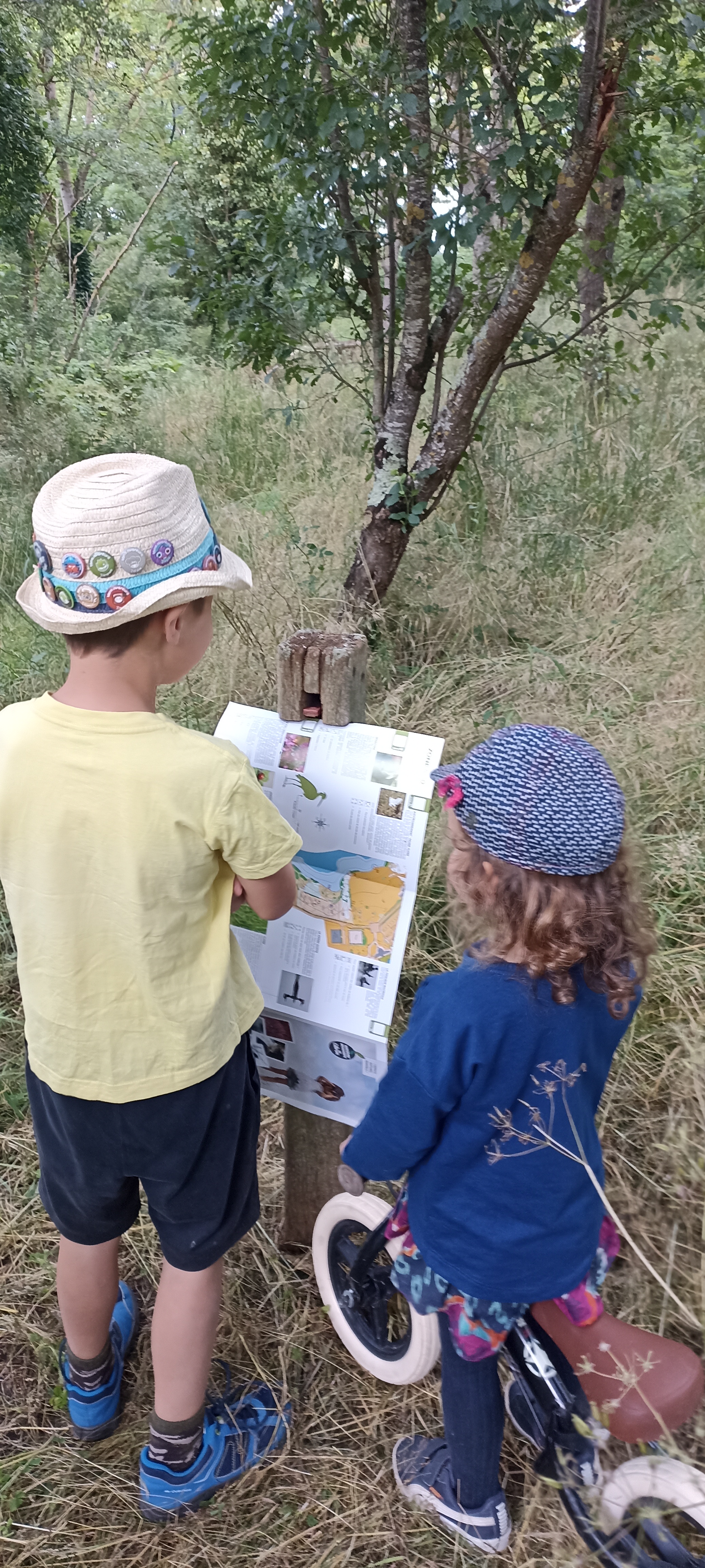 Parcours d'orientation au Lac du Cébron à Saint-Loup-Lamairé