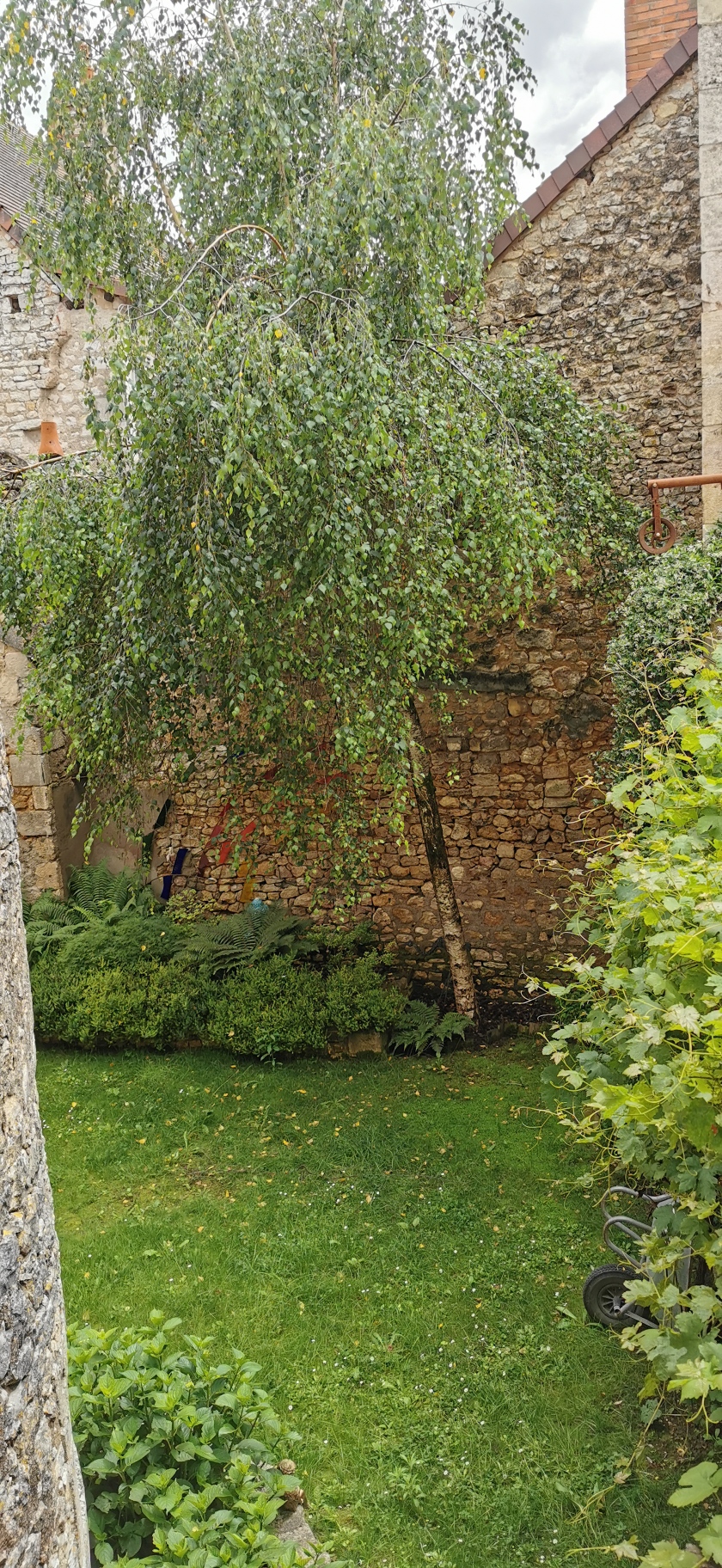 Carpe Diem, Saint-Savin - photo 4