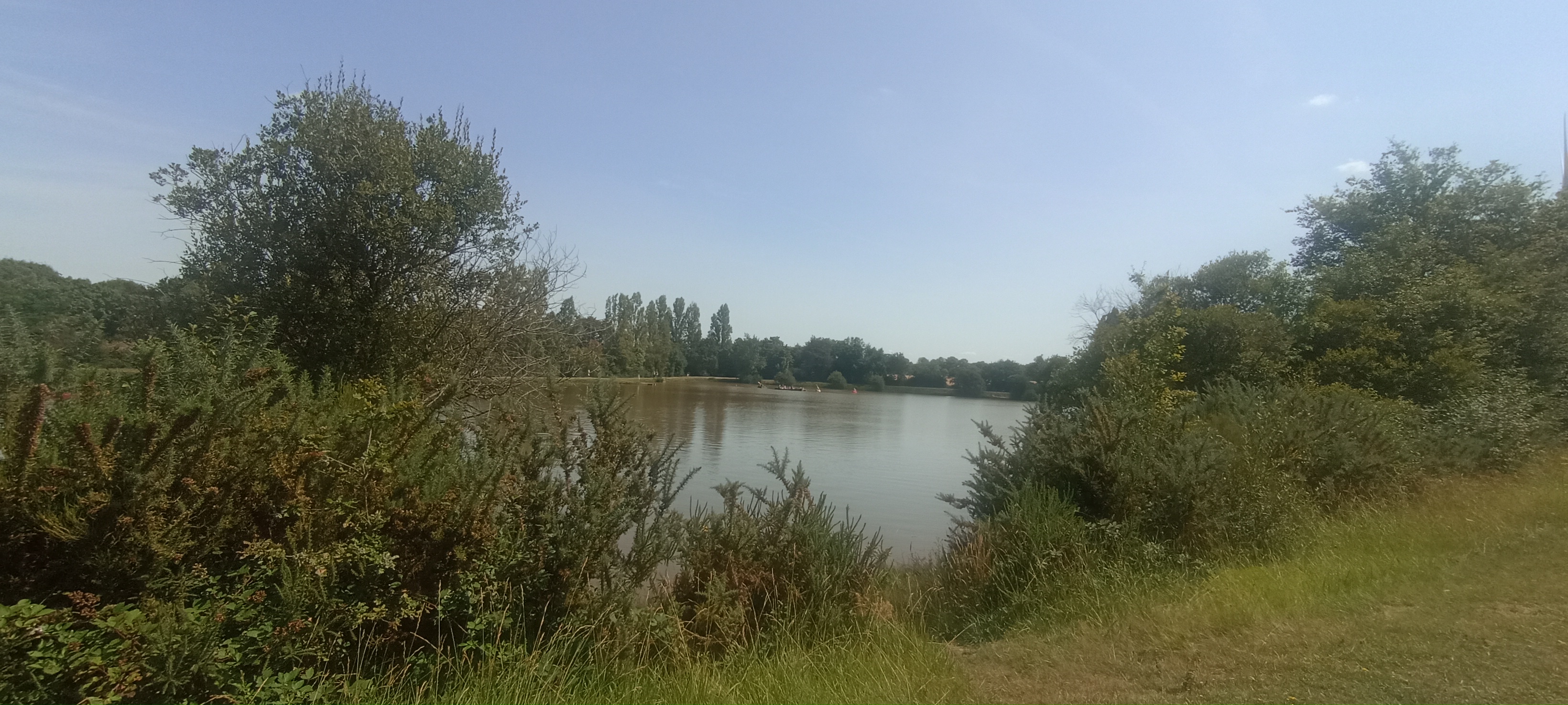 Etang d'Enjouran (Tessonnière)