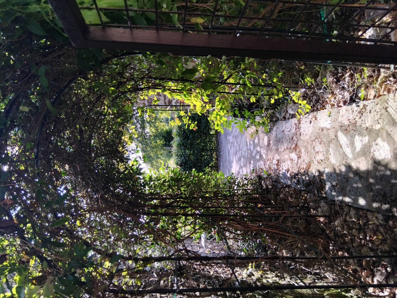 La Poésie de l'Instant, Bétête - photo 6