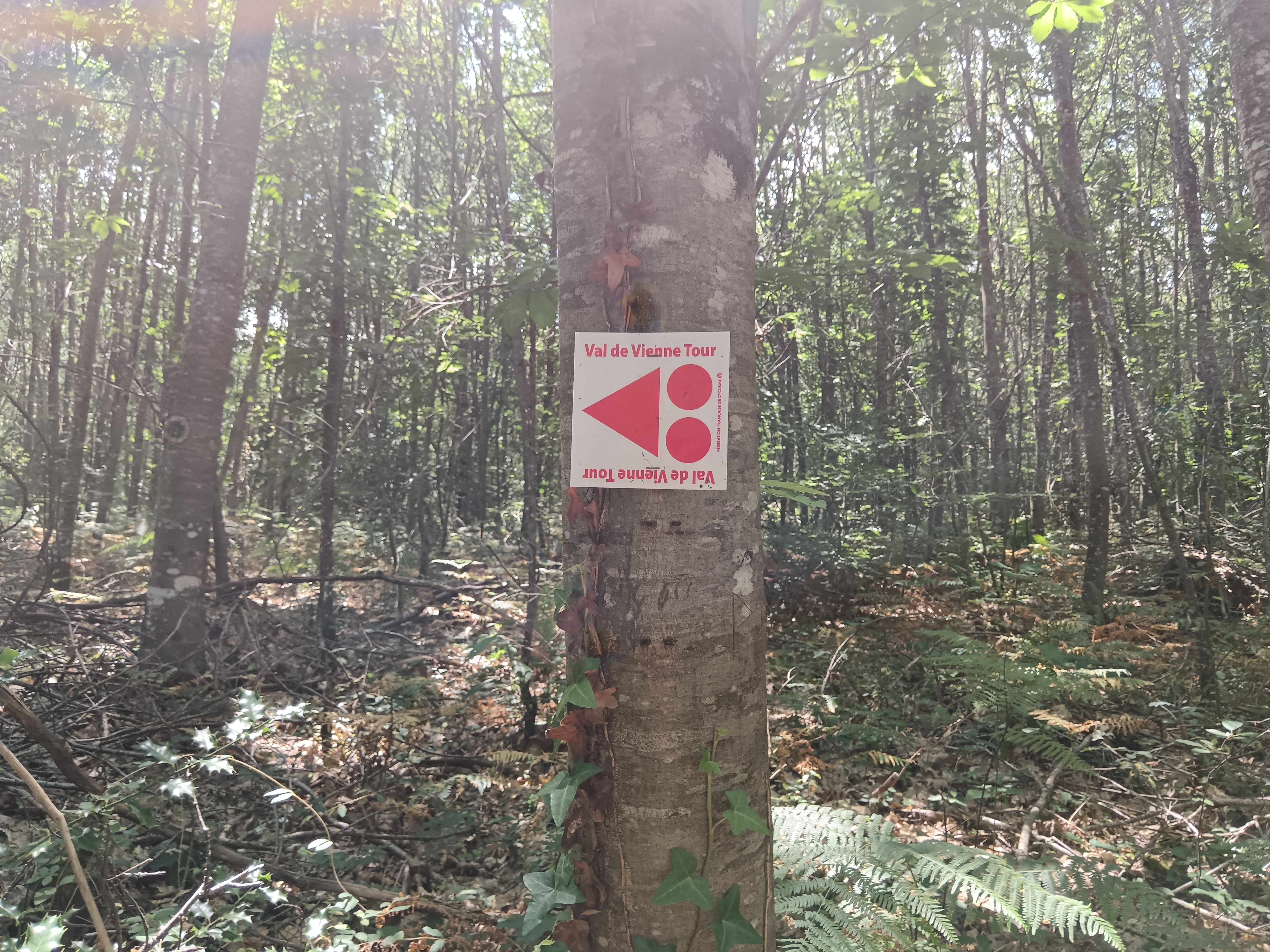 La Boucle VTT de Saint-Priest-sous-Aixe - Circuit n°1 Val de Vienne Tour, Saint-Priest-sous-Aixe - photo 4