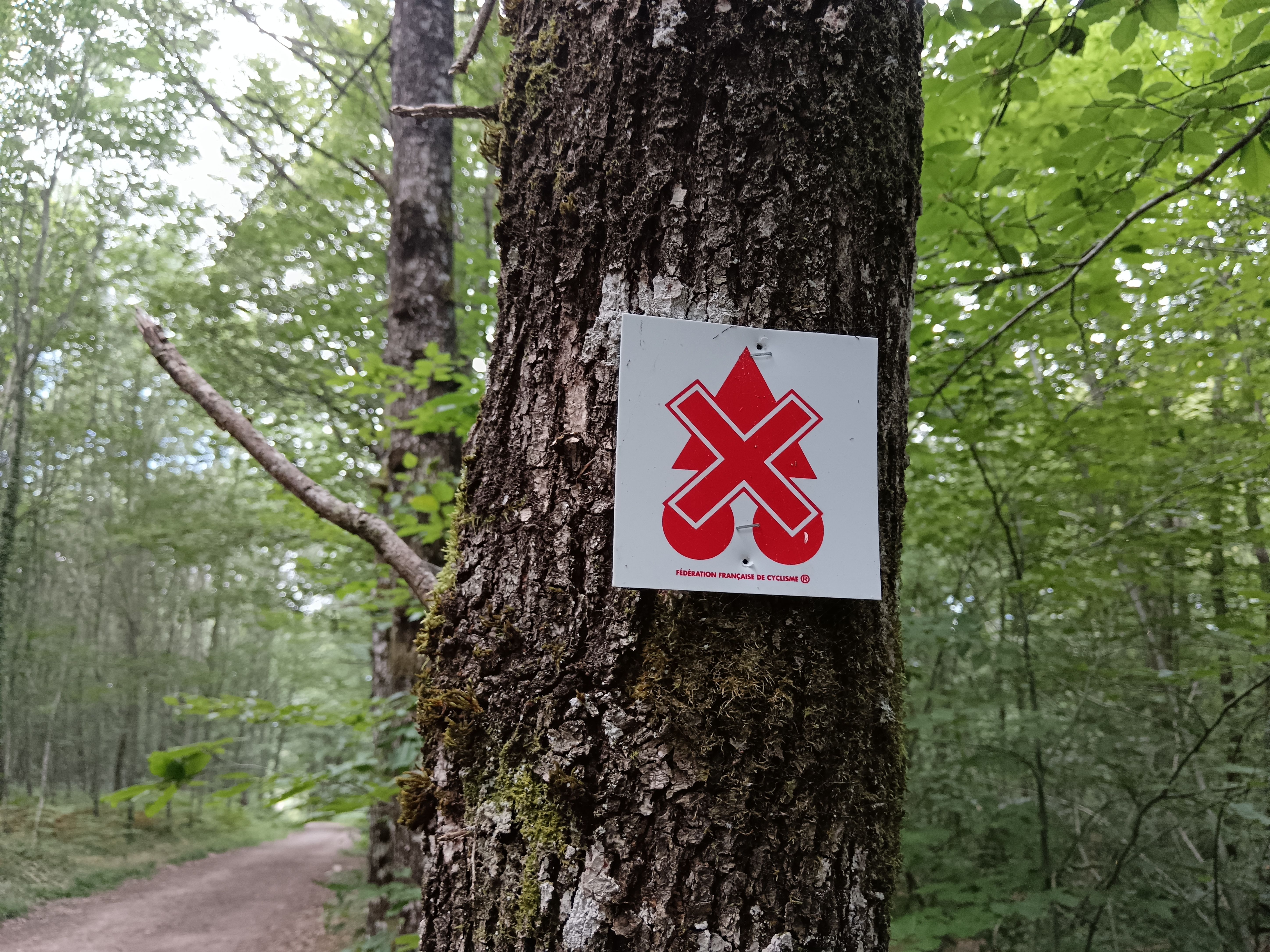 La Boucle VTT de Saint-Priest-sous-Aixe - Circuit n°1 Val de Vienne Tour, Saint-Priest-sous-Aixe - photo 3