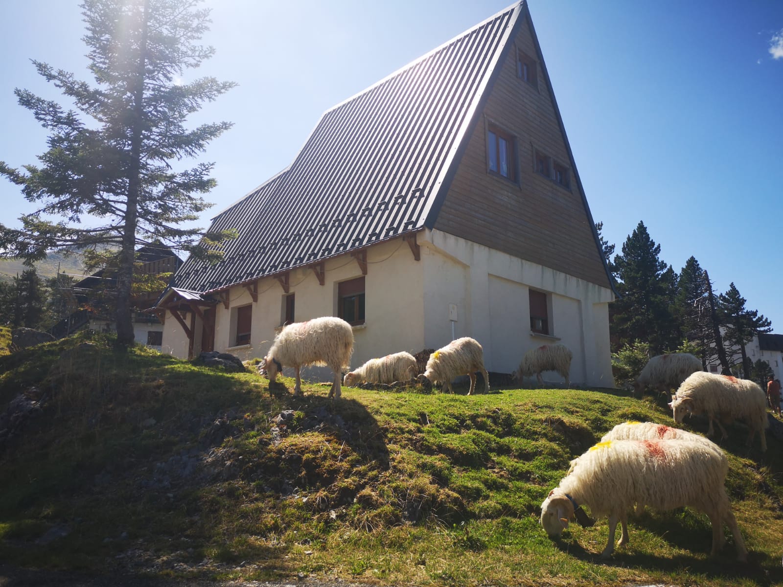 Les 2 Marmottes - Marmottes 2 - photo 5