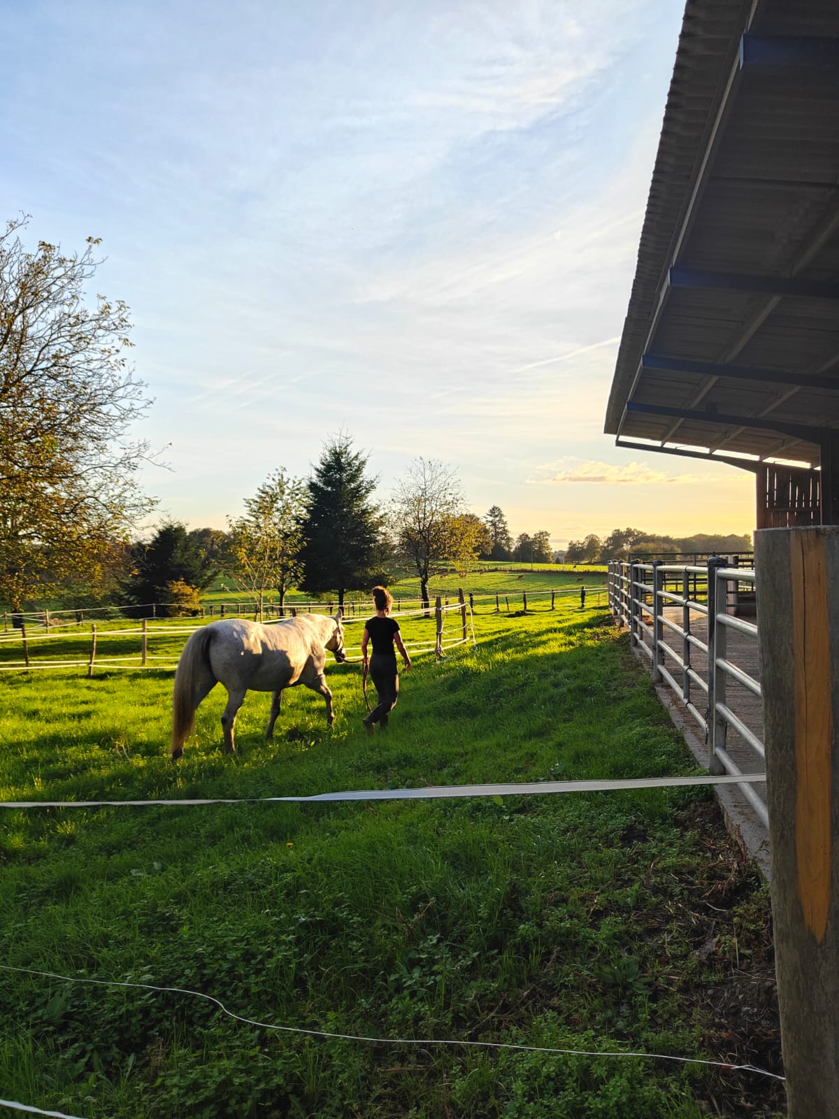 Ferme équestre Equi'Complice