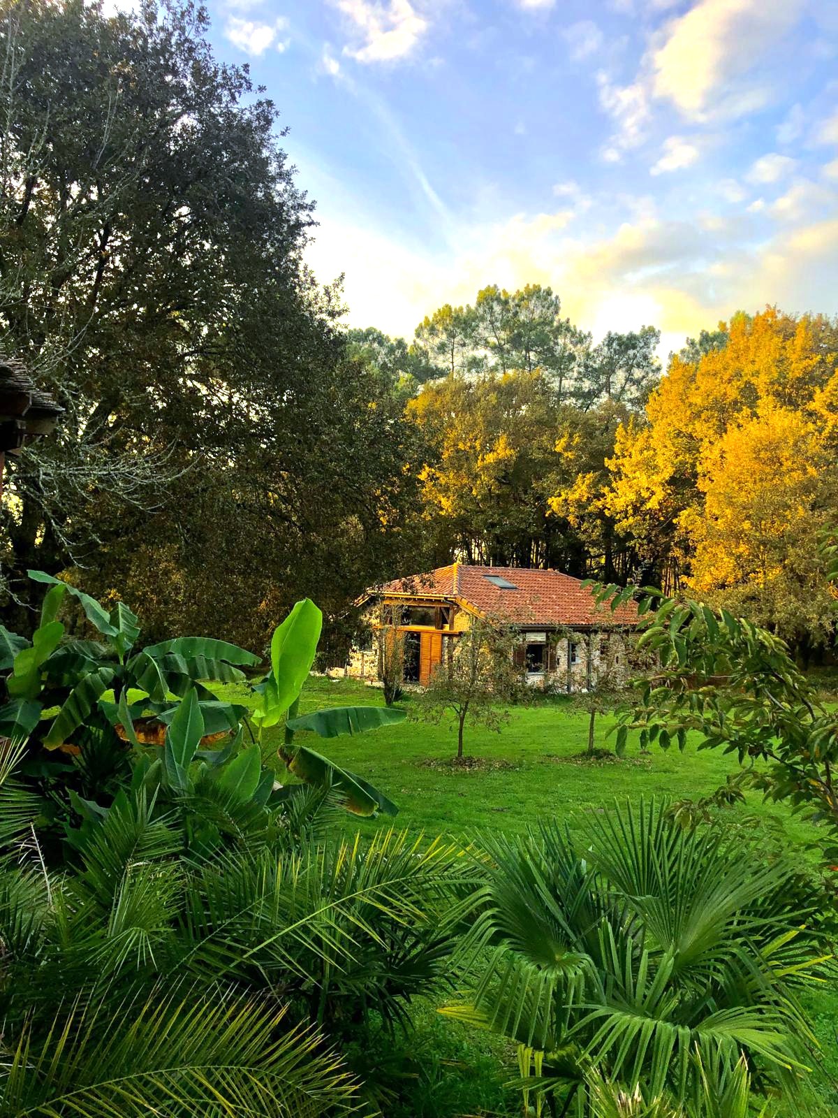 Réserve Taïno - La Bergerie, Morcenx-la-Nouvelle - photo 11