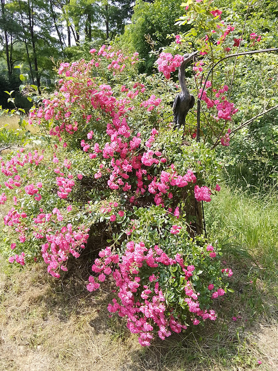 La Rustique - photo 3