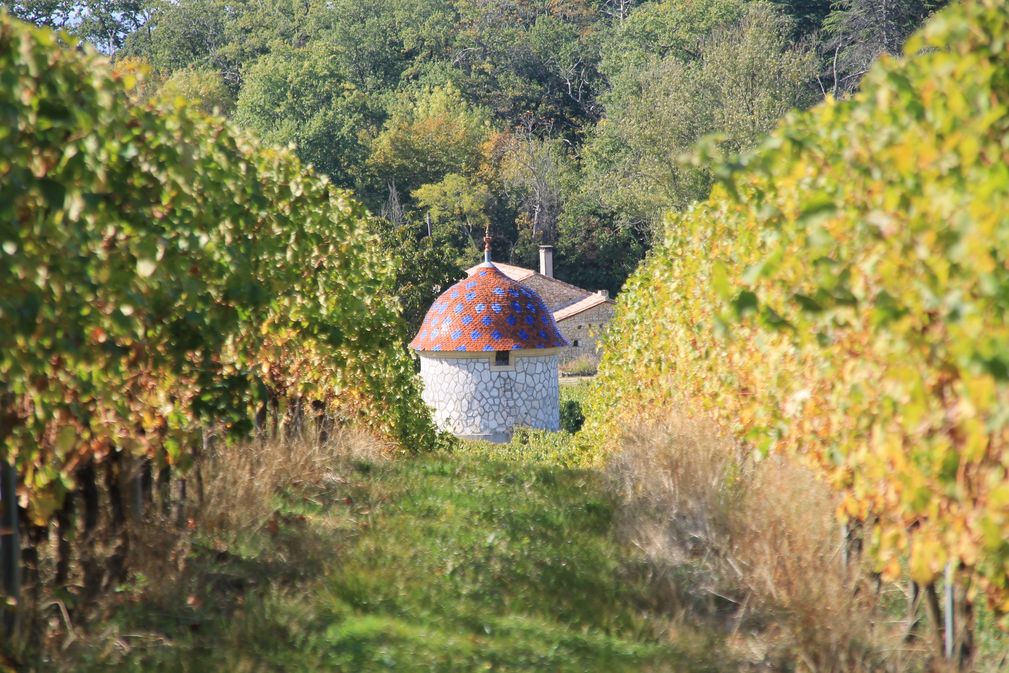 Château Malfourat - photo 4