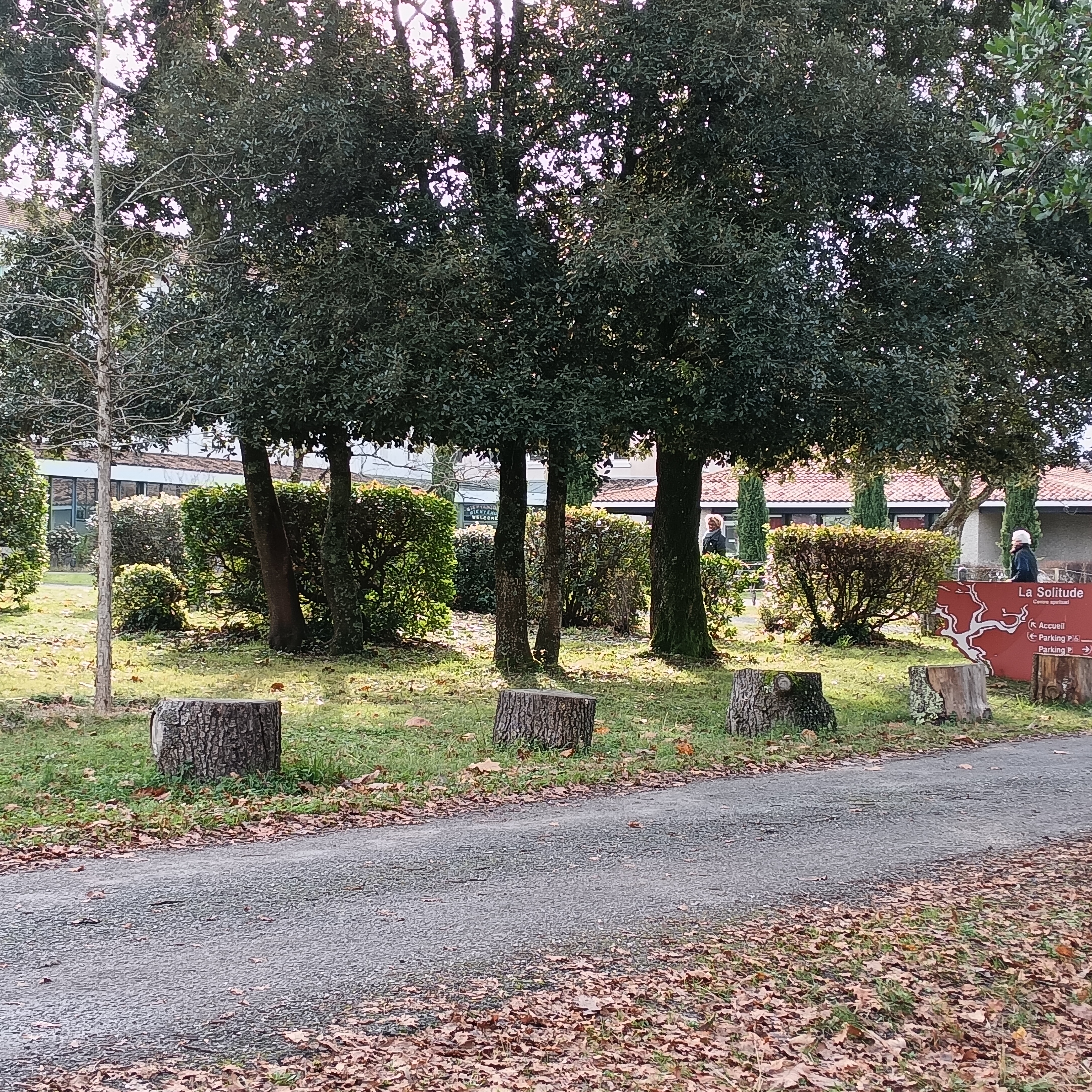 YOGA, SOUFFLE ET MÉDITATION, Martillac - photo 2