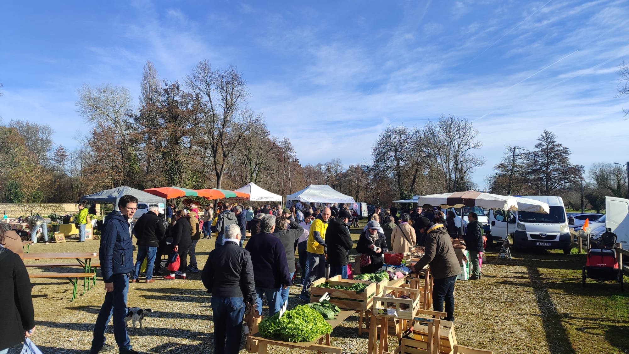 Marché hebdomadaire de Beautiran, Beautiran - photo 5