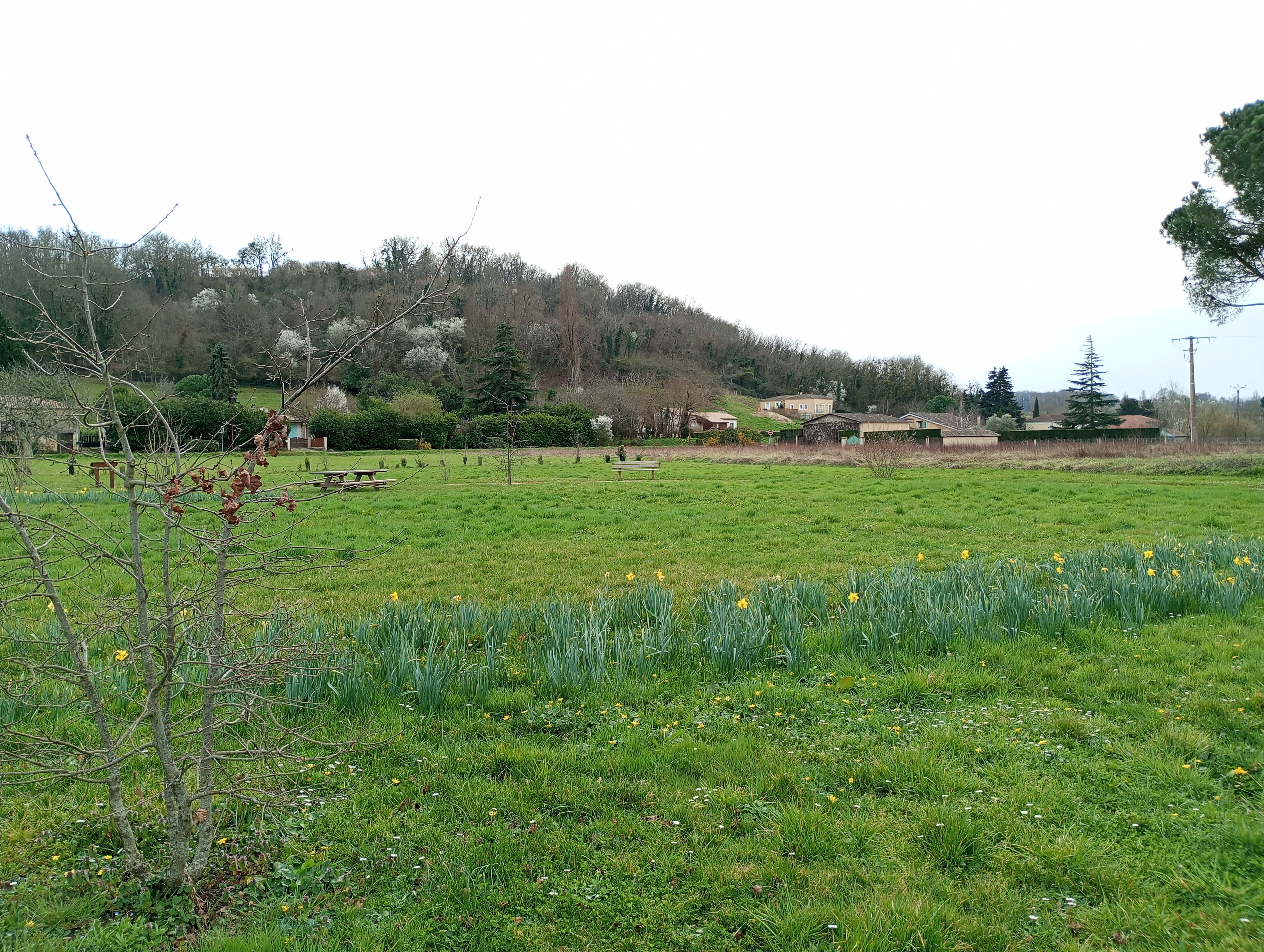 Arboretum de Sainte-Florence, Sainte-Florence - photo 2
