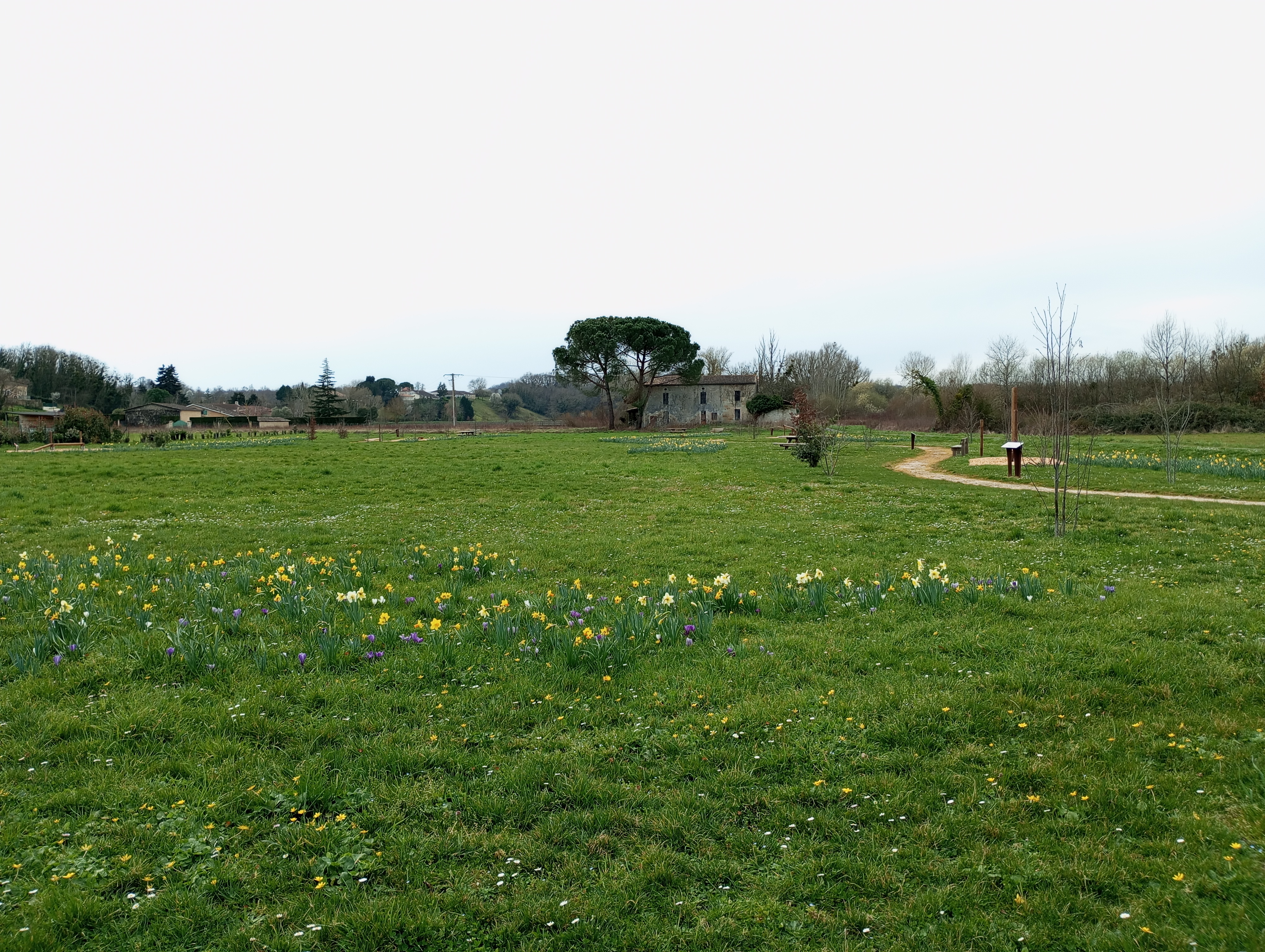 Arboretum de Sainte-Florence, Sainte-Florence - photo 3
