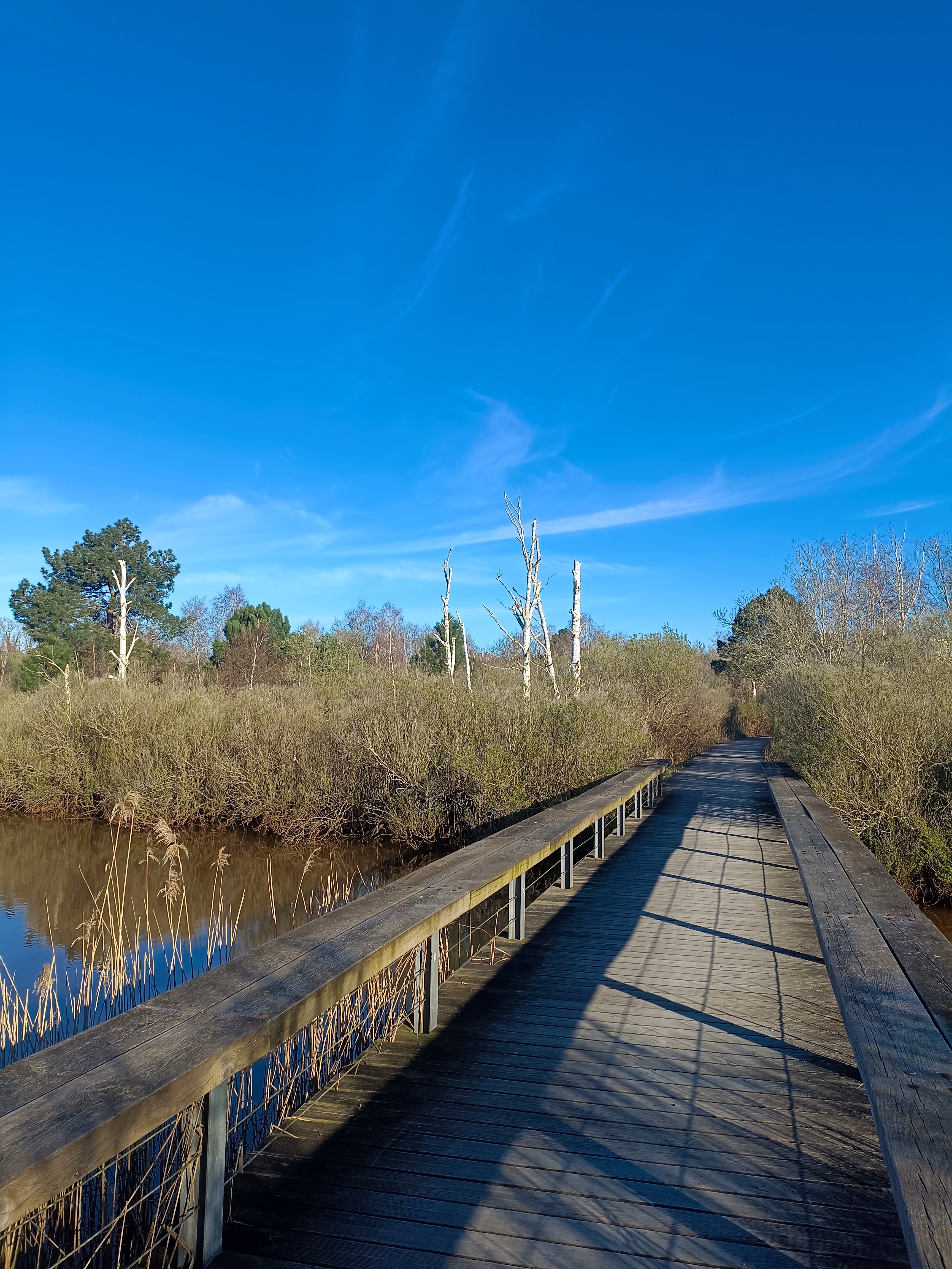 Terra Aventura La Teste de Buch : “Sauvons les Prés Salés !”