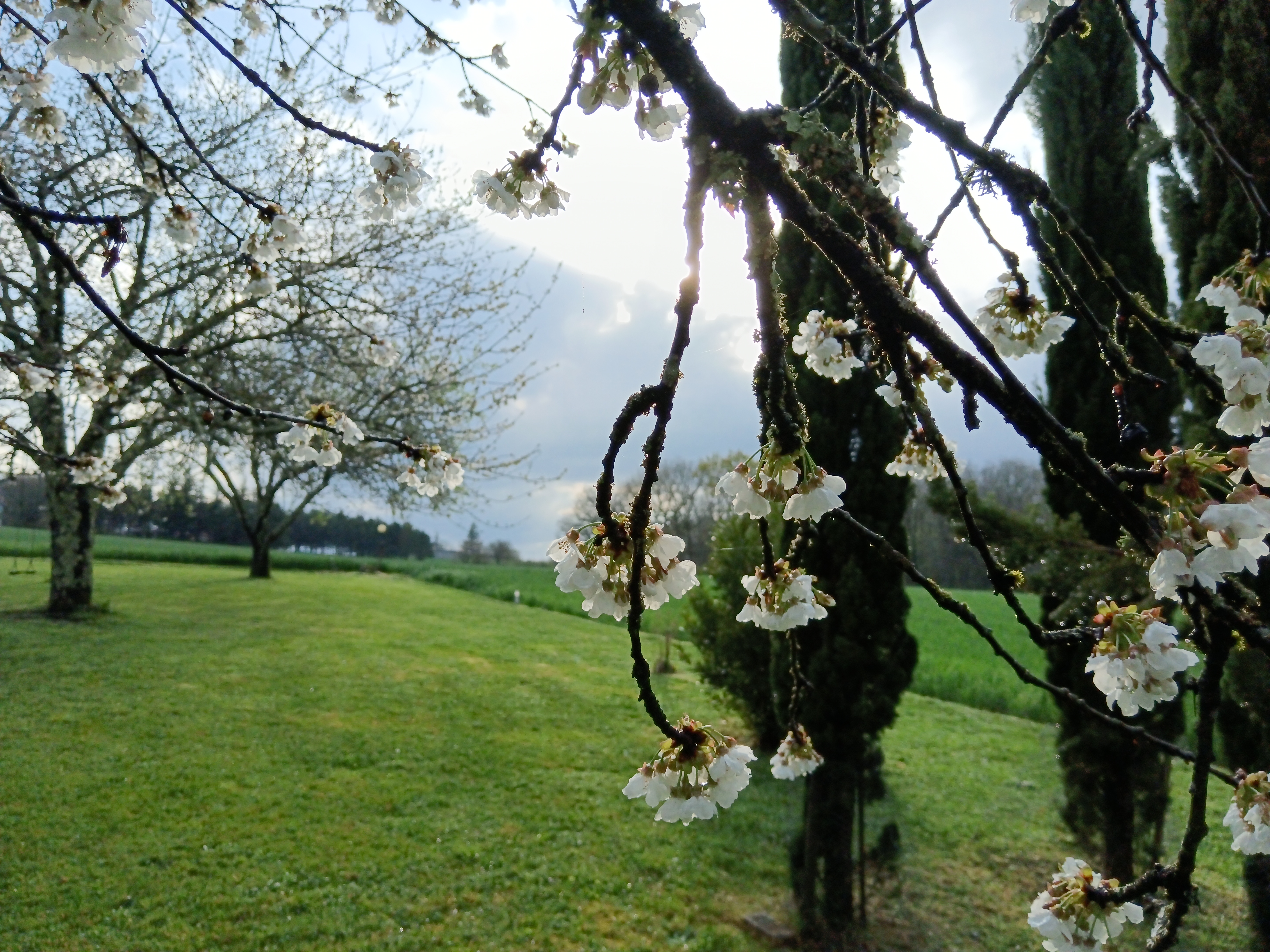 Le champ des étoiles, Massoulès - photo 15