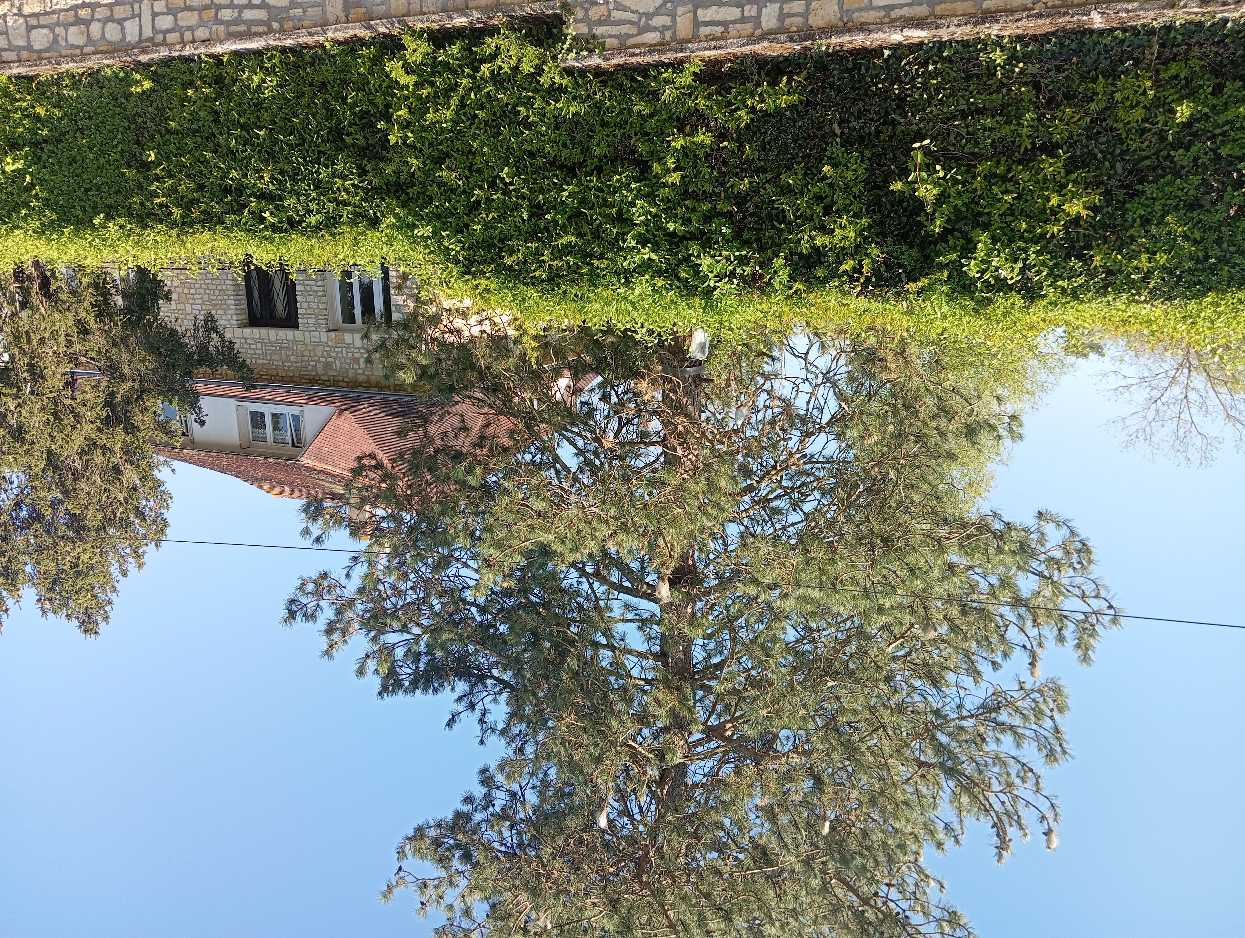 Villa Beauregard - Appt. 2, La Roche-Posay - photo 4