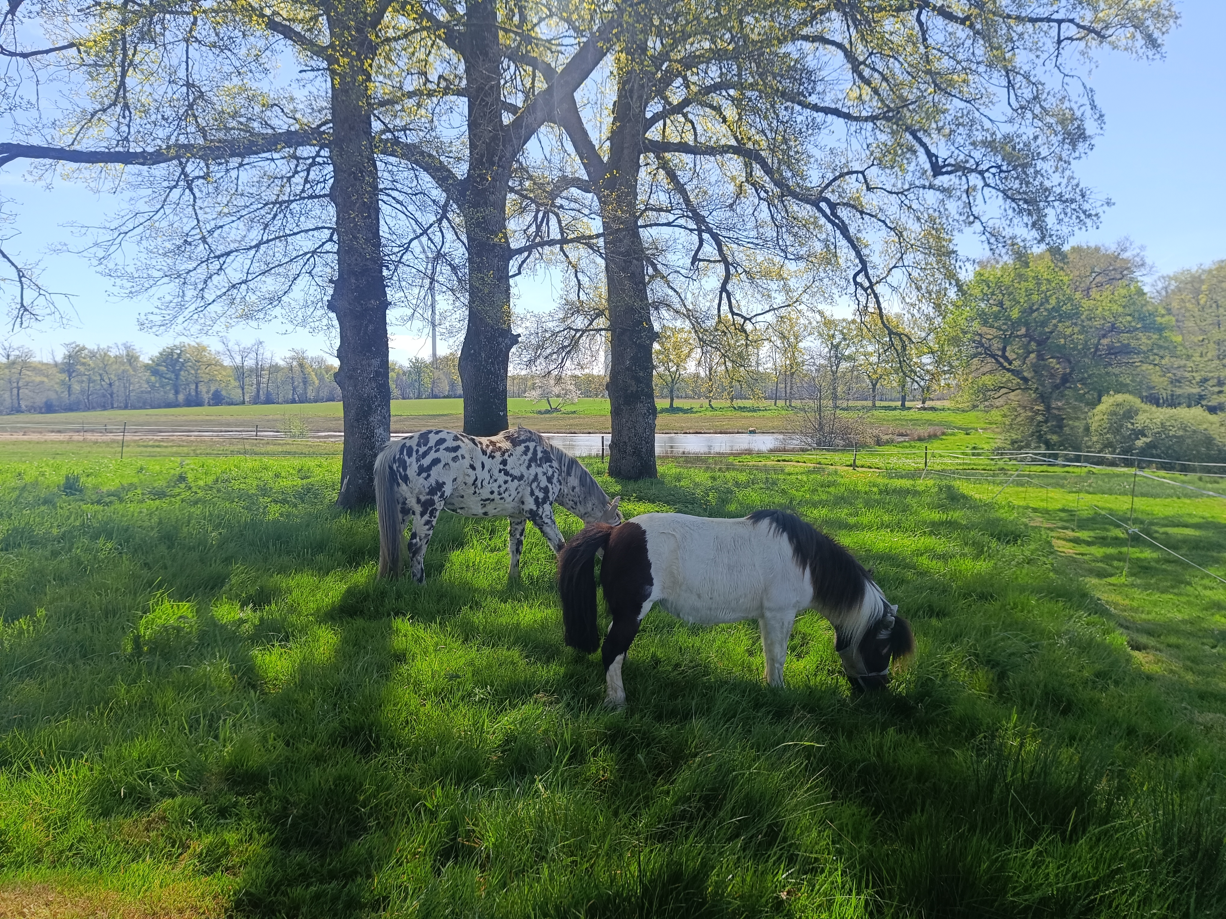 Les 5 Chênes, Val d'Issoire - photo 12