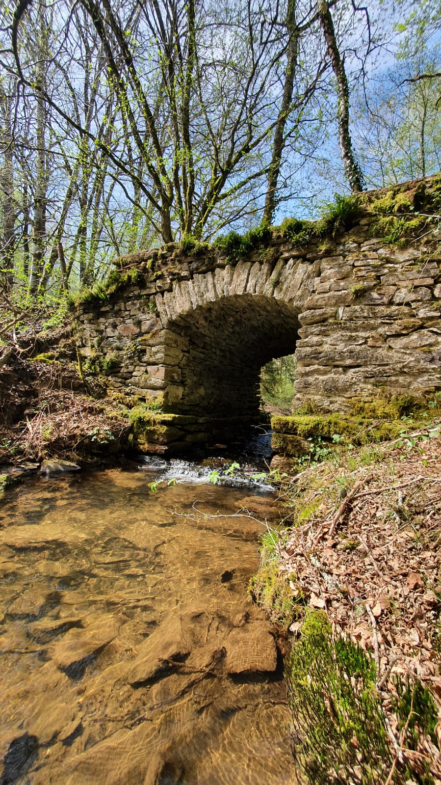 Entre Dordogne et Maronne — photo 2