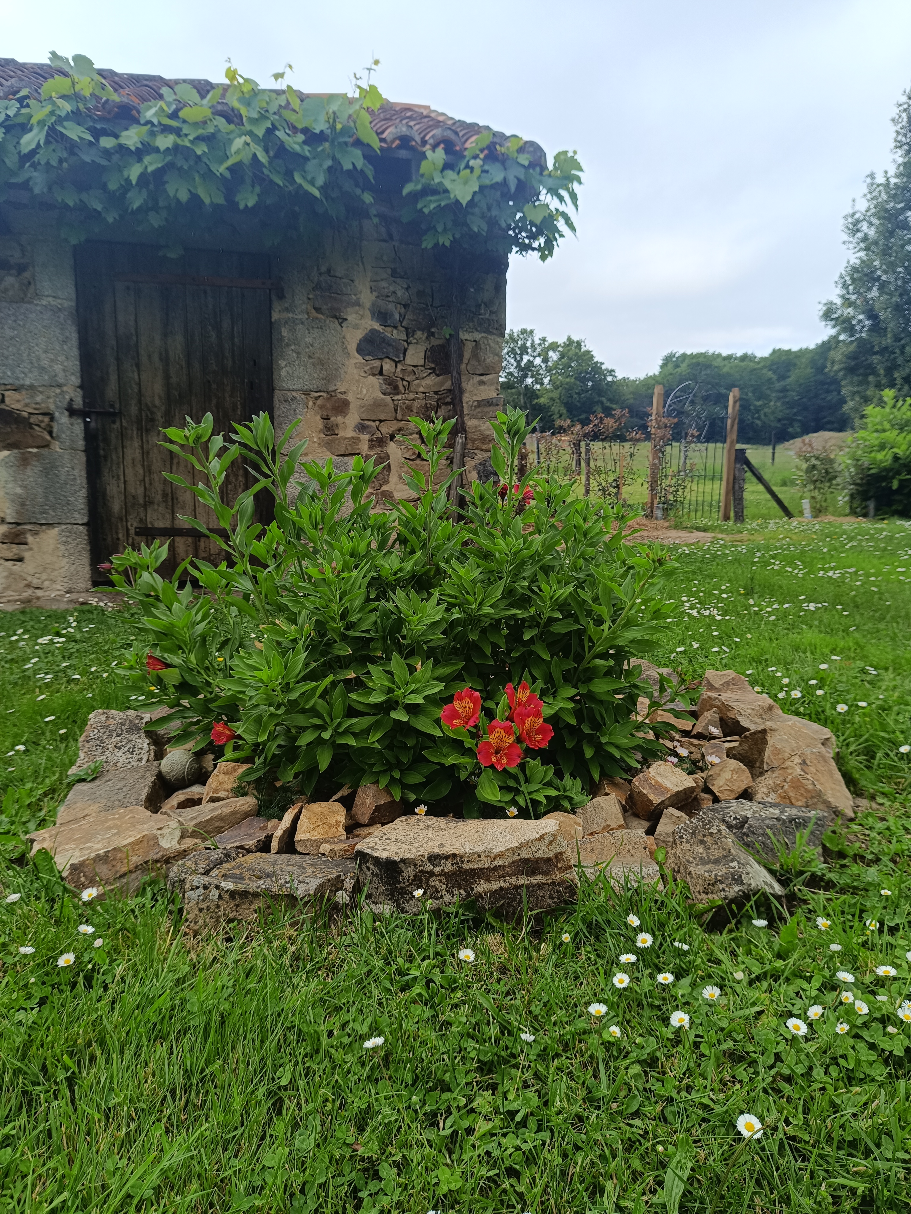 Les 5 Chênes, Val d'Issoire - photo 7