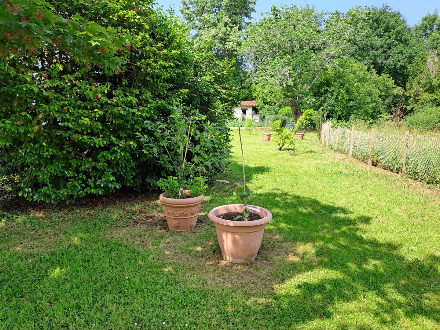 Madame KRADOLFER-CORCIONE