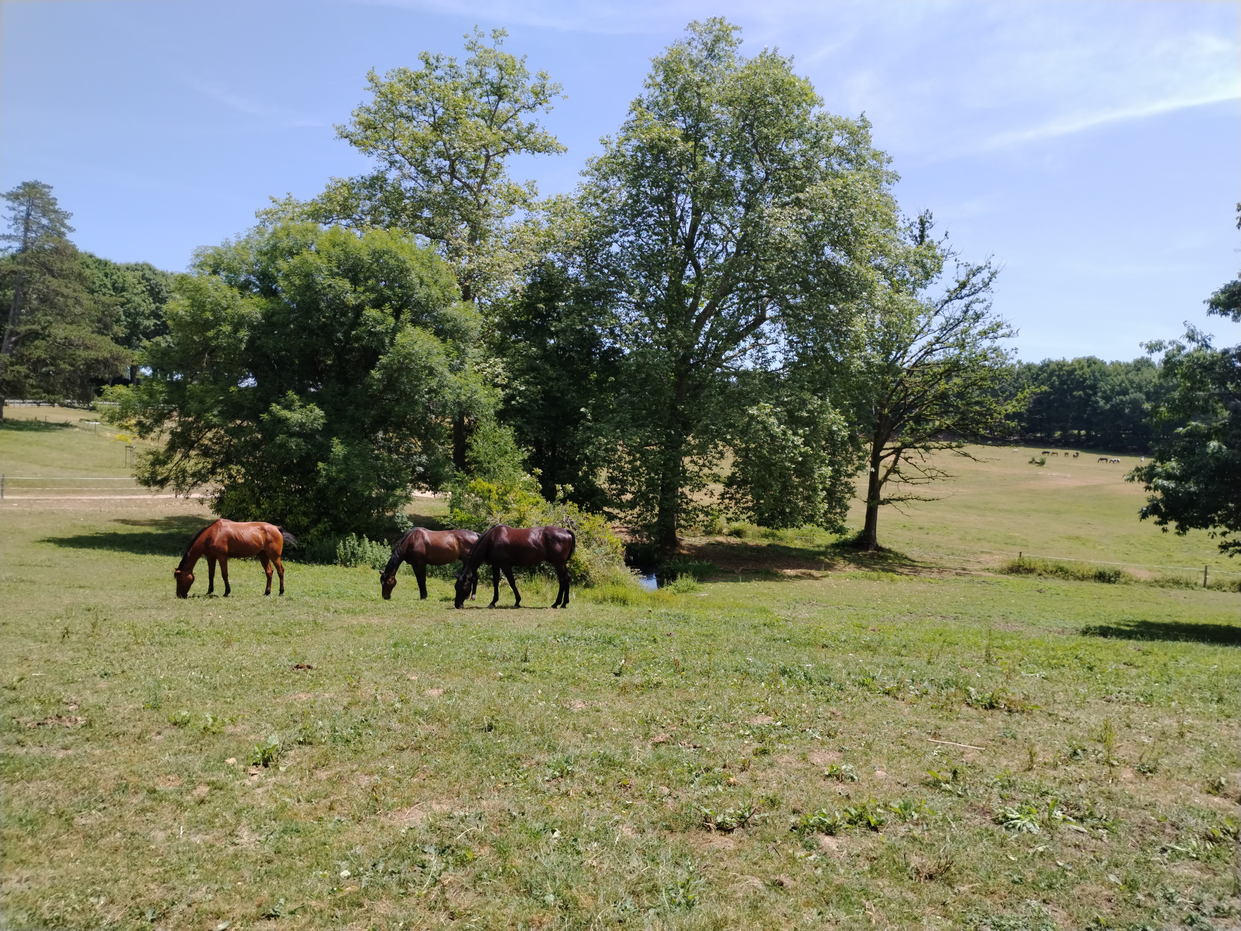 Sentier de l'Ermite — photo 3
