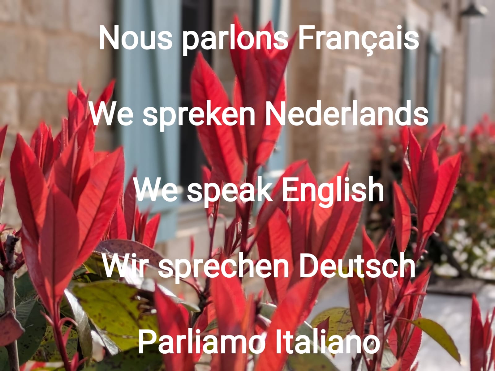 Au petit bonheur de Lorigné, Lorigné - photo 2