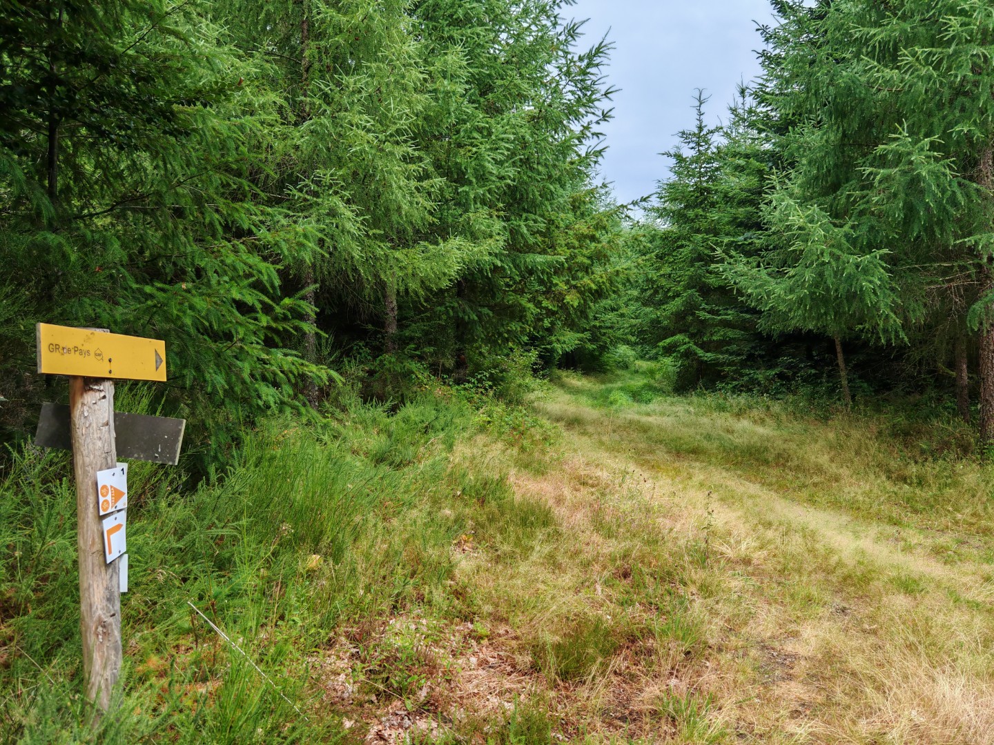Circuit Pédestre N°52 : La Forêt de Chantegris