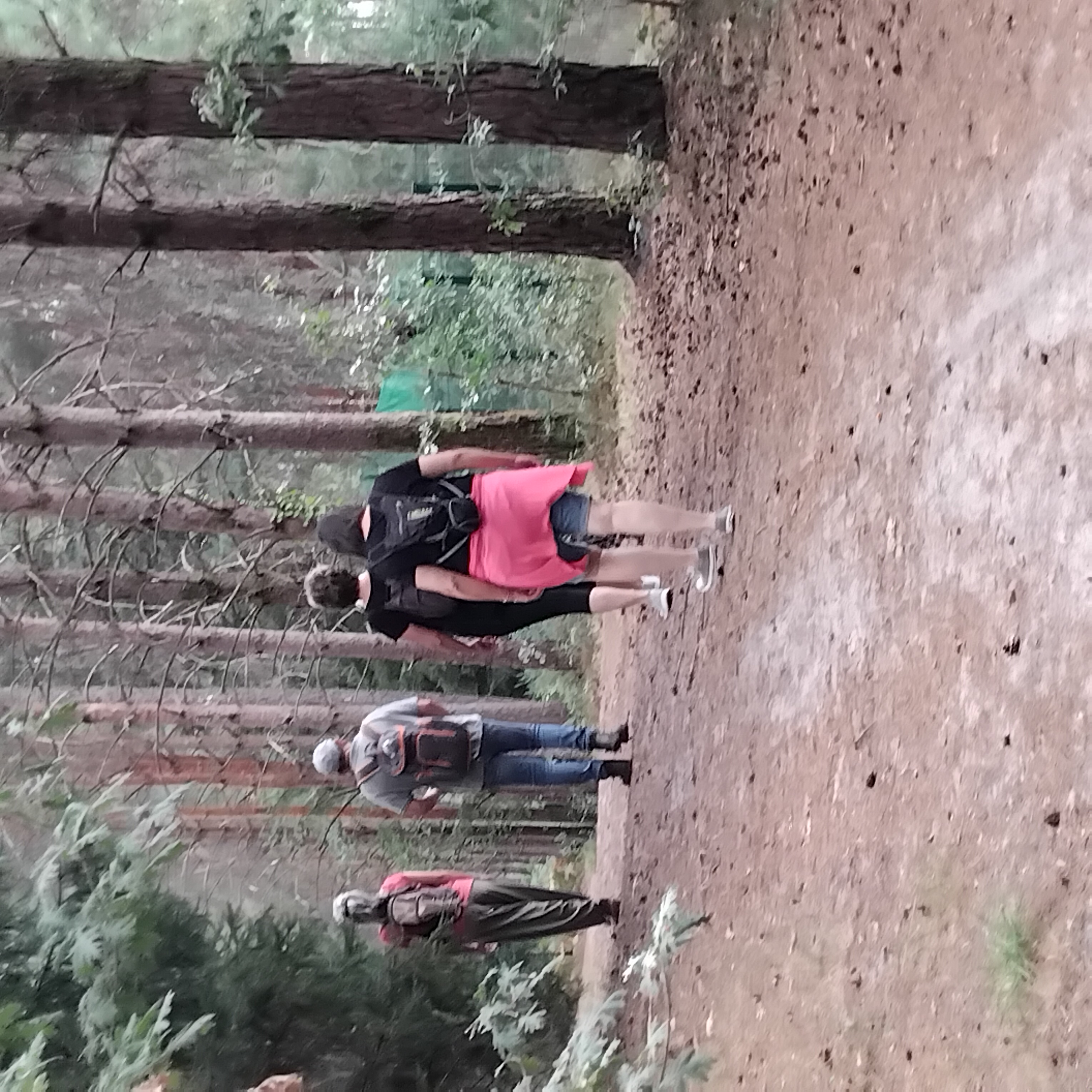 JEÛNE, YOGA ET MARCHE CONSCIENTE, Saint-Selve - photo 3