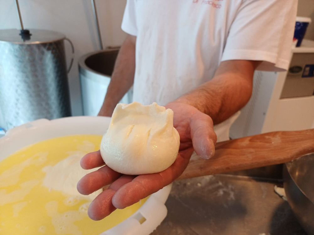 Mozzarella di francesco — photo 2