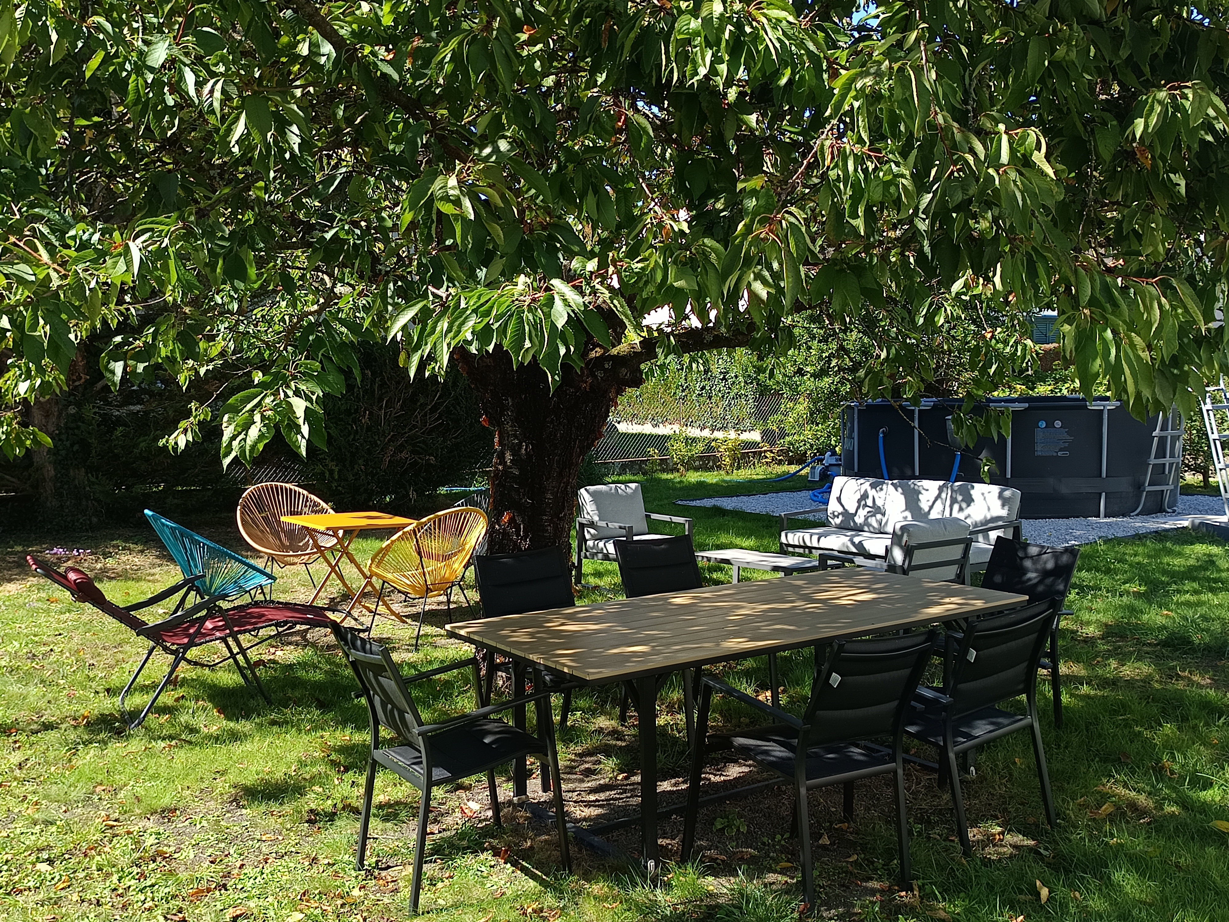 Jardin âne cerisier