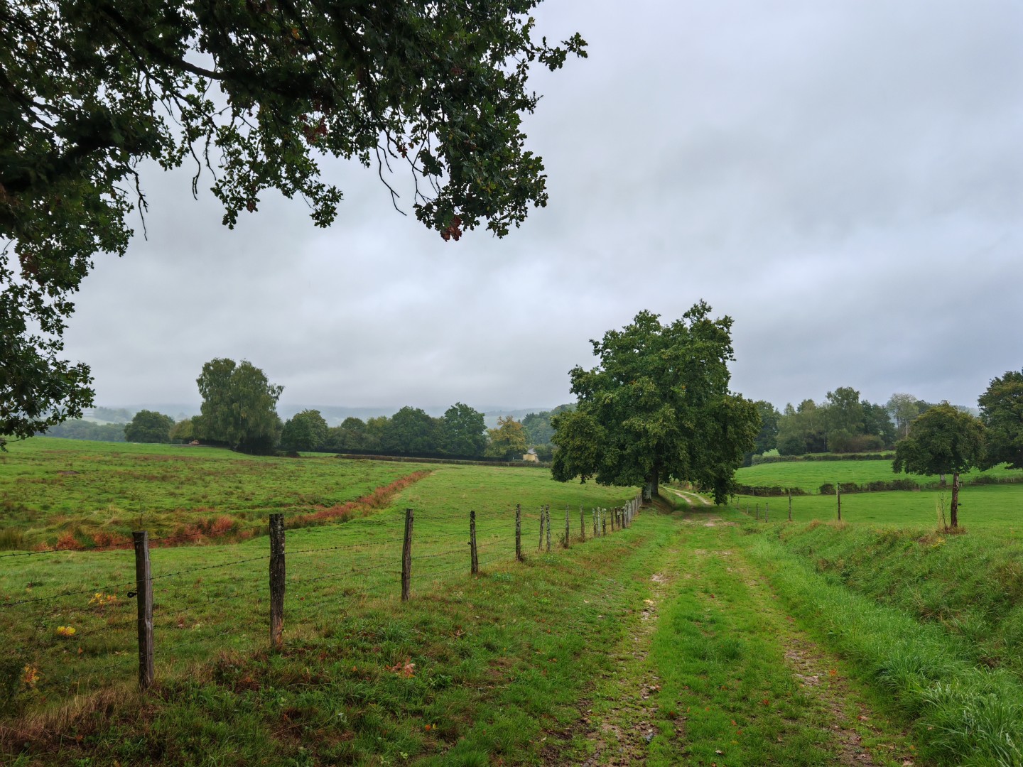 Circuit N°17 : Vallée de la Banize — photo 2
