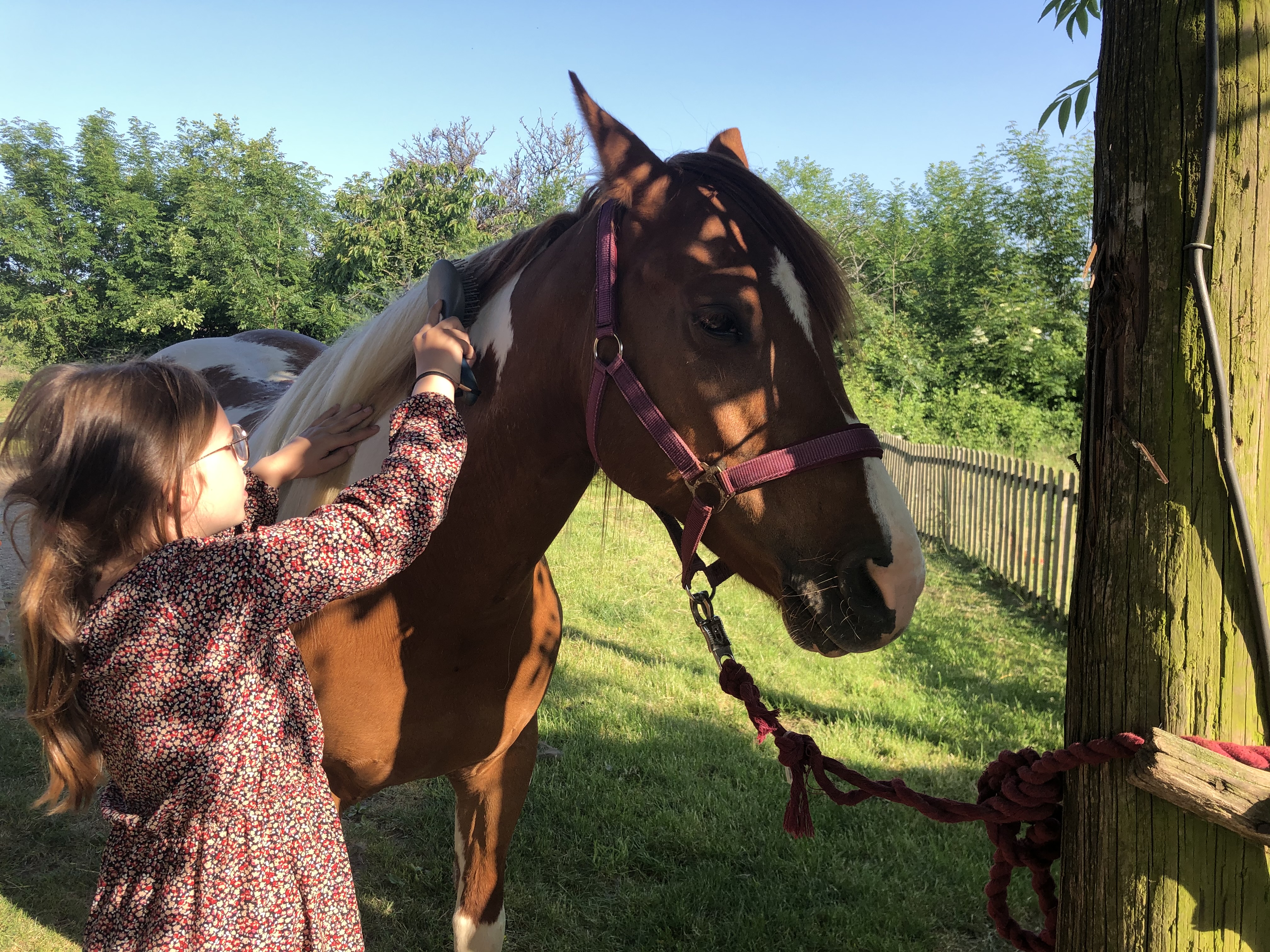 Gîte de la Marsandière, Saint-Pardoux-Soutiers - photo 9