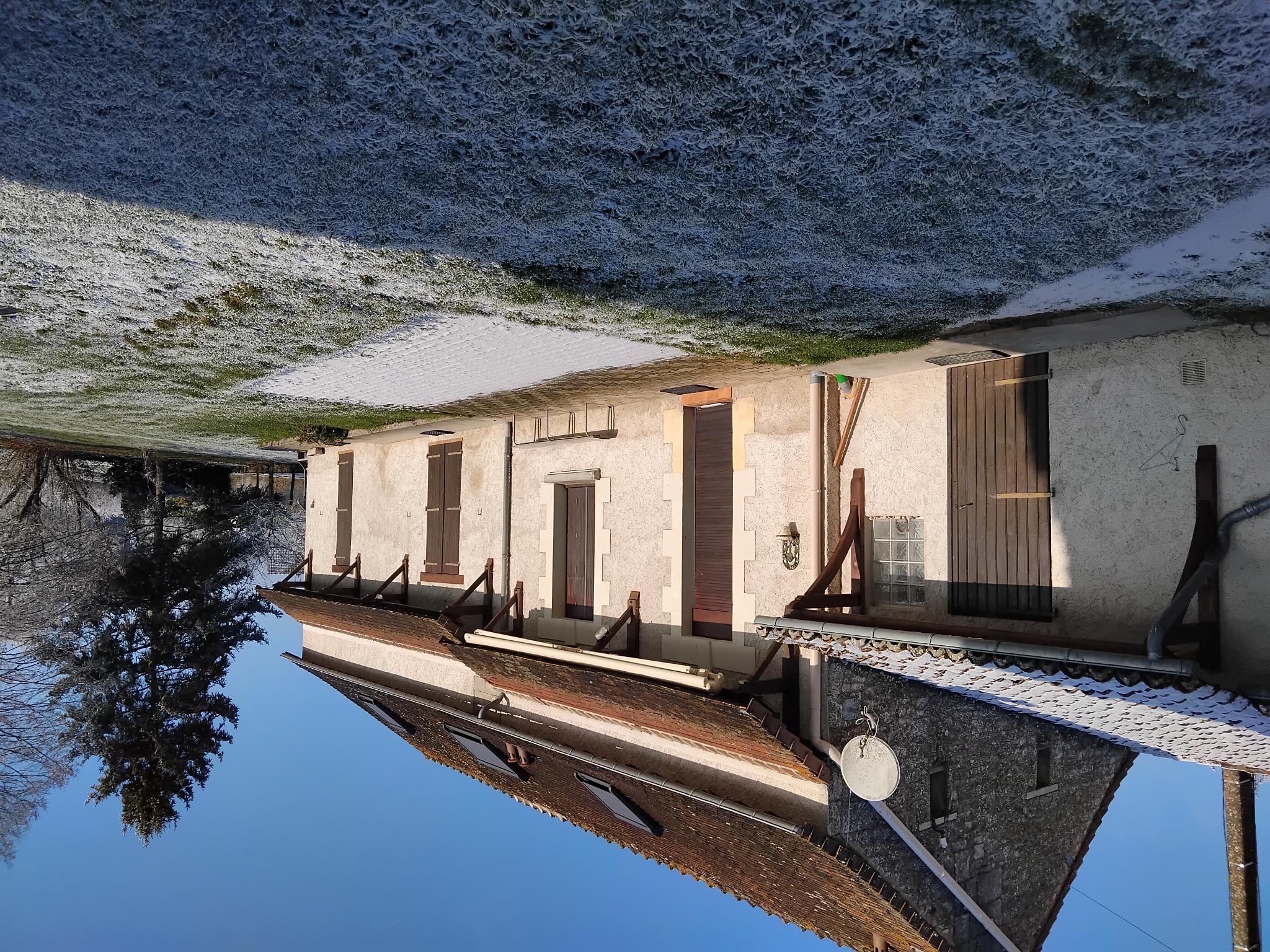 Le chant des oiseaux