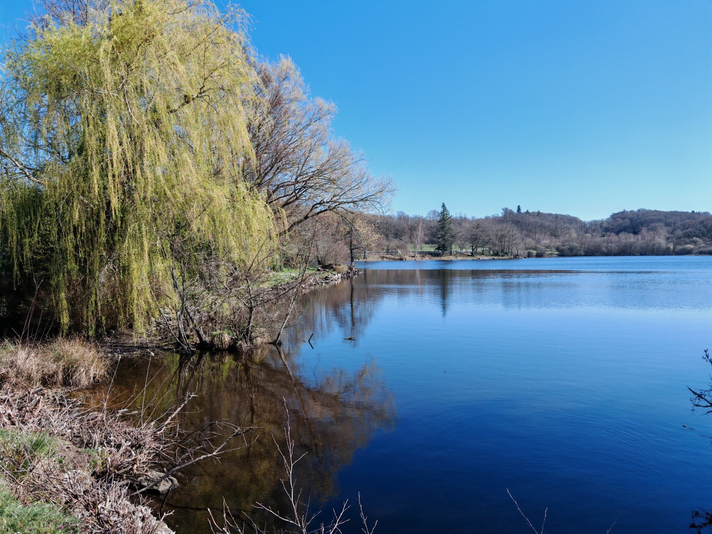 Etang du Puy, Chamberaud - photo 3