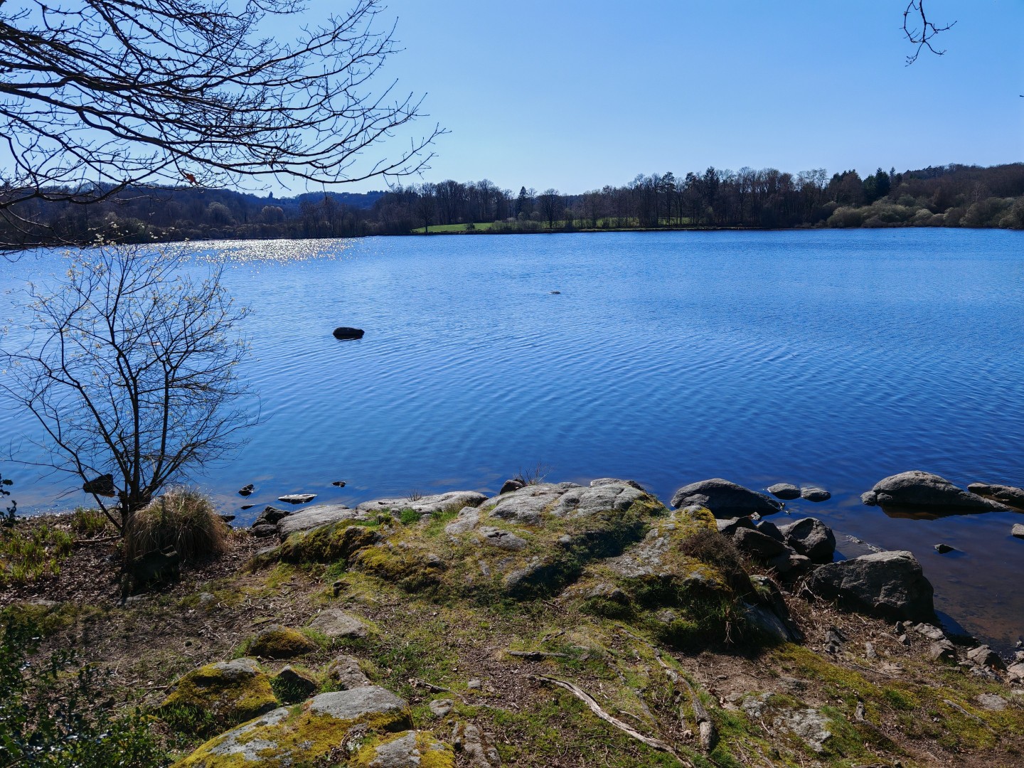 Etang du Puy