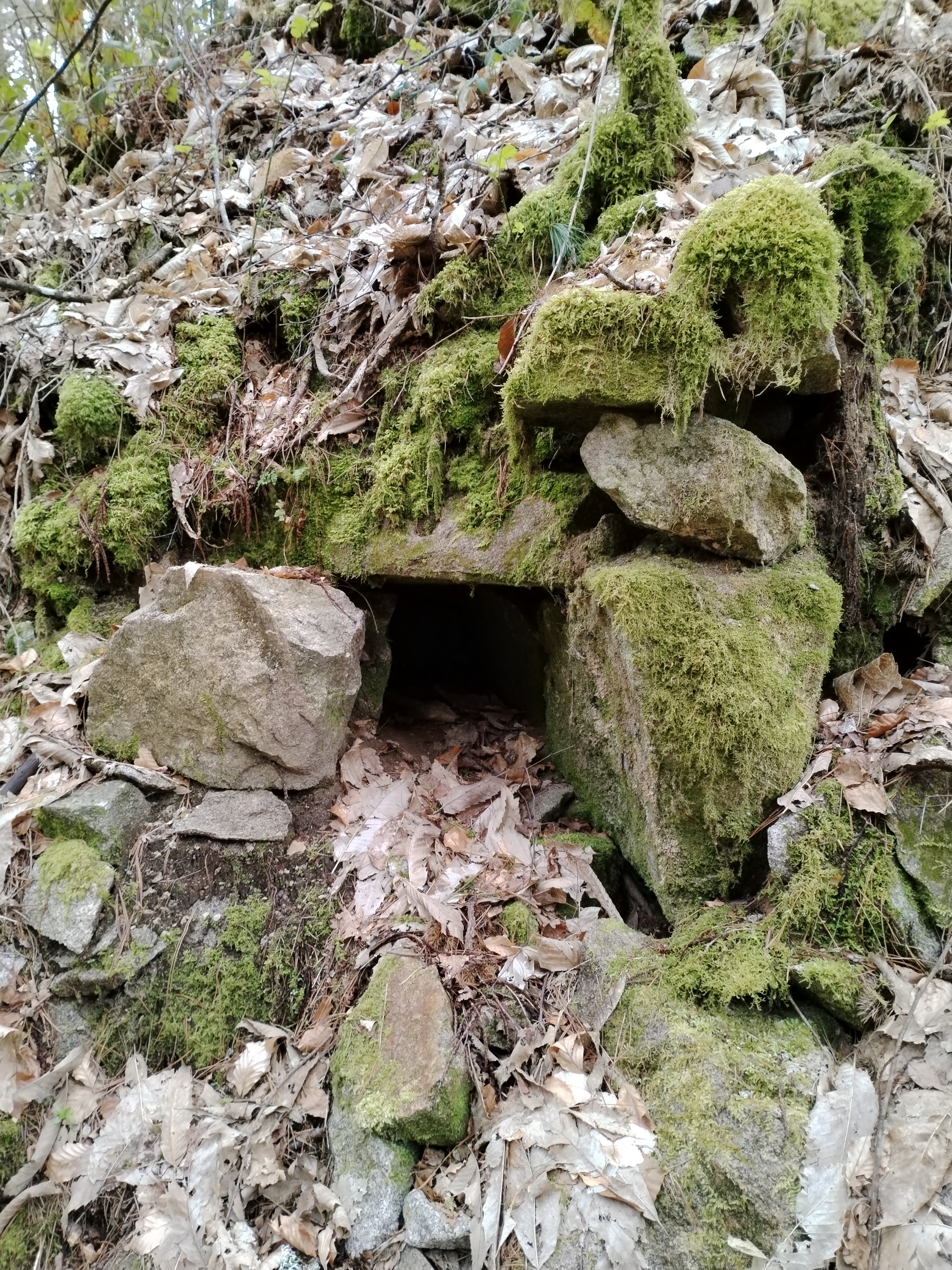 Le Chemin des carriers, Saint-Sylvestre - photo 3