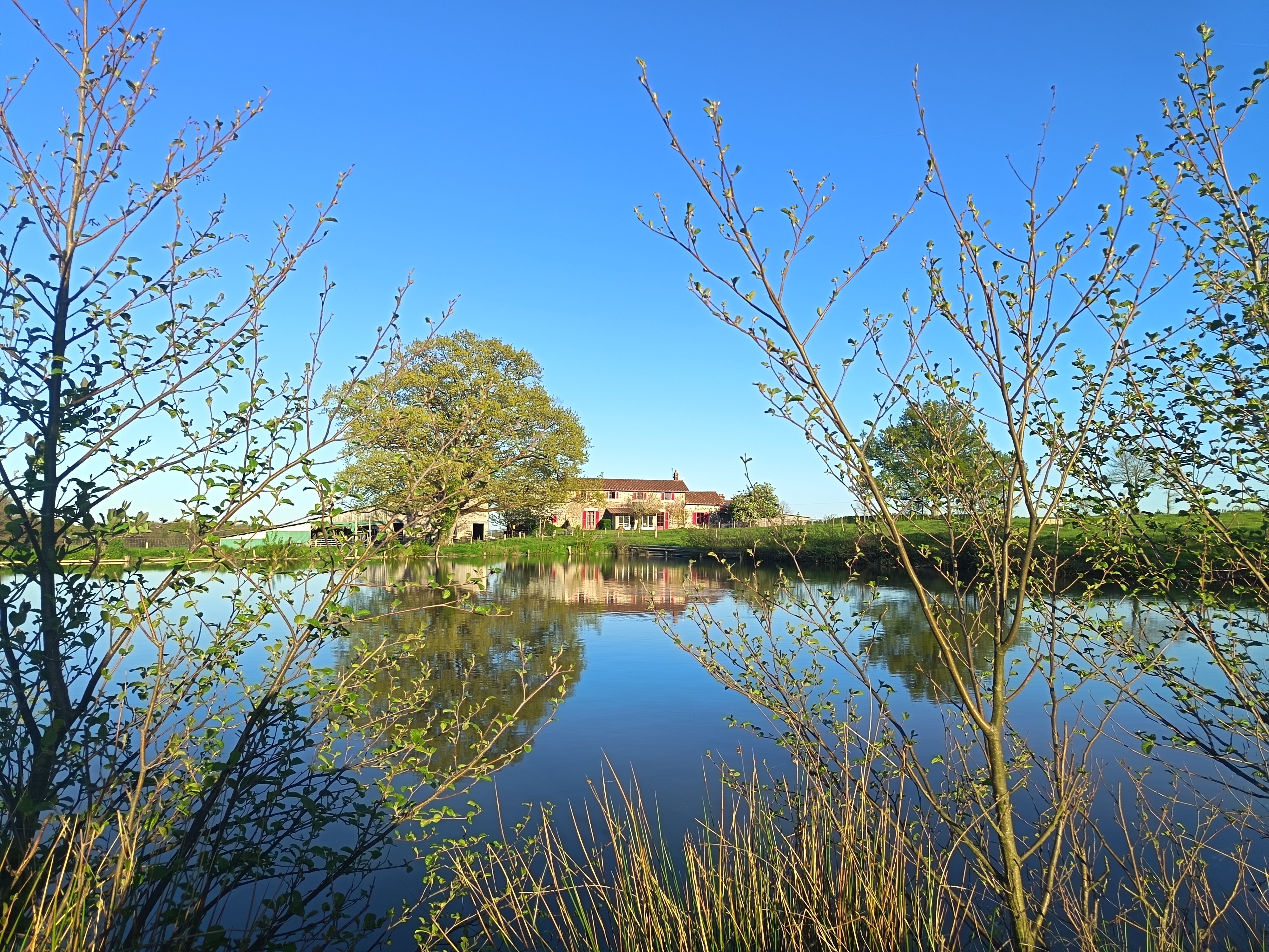 Le grand gîte, Peyrat-de-Bellac - photo 24