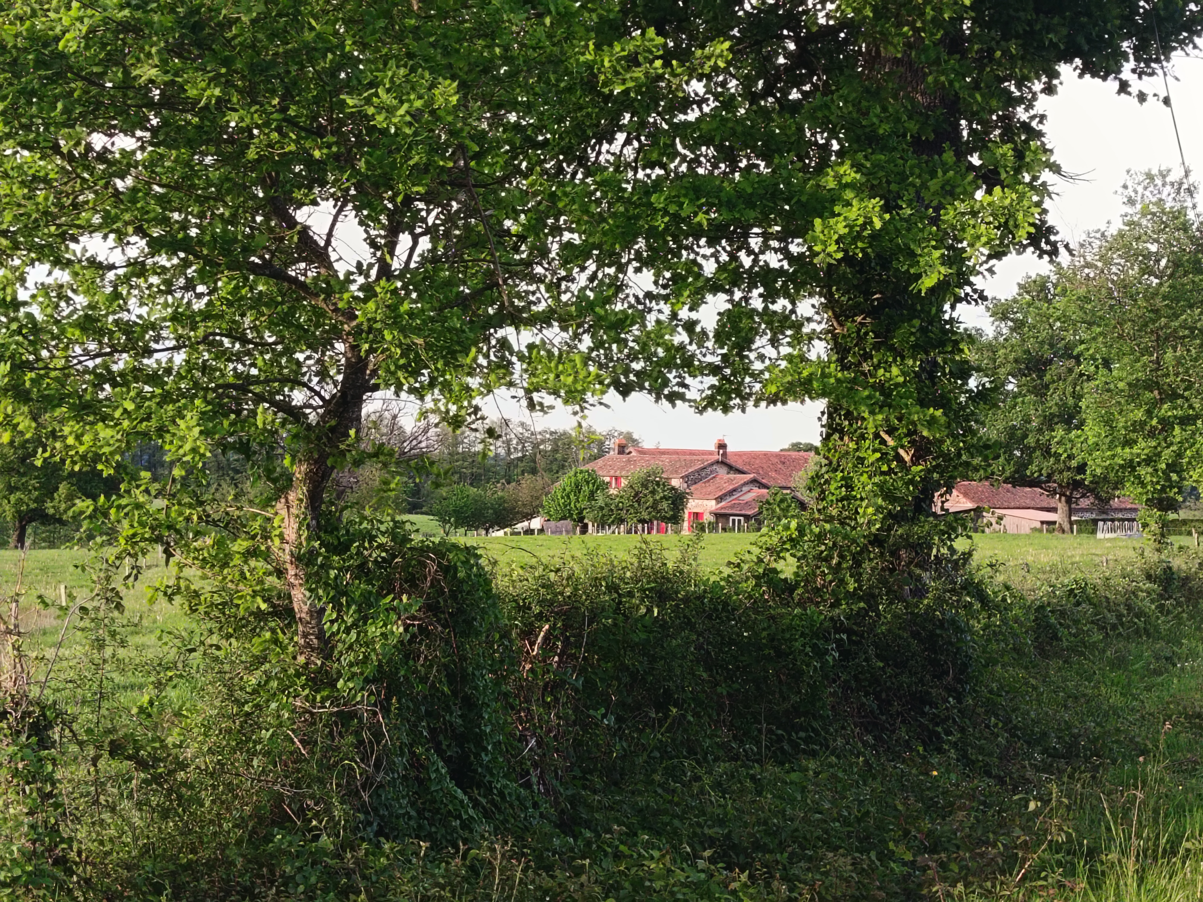 Le grand gîte, Peyrat-de-Bellac - photo 14