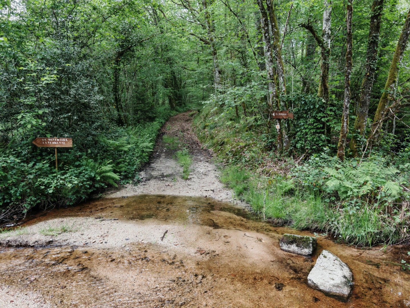 Randonnée pédestre : circuit du Goupil, Saint-Moreil - photo 5