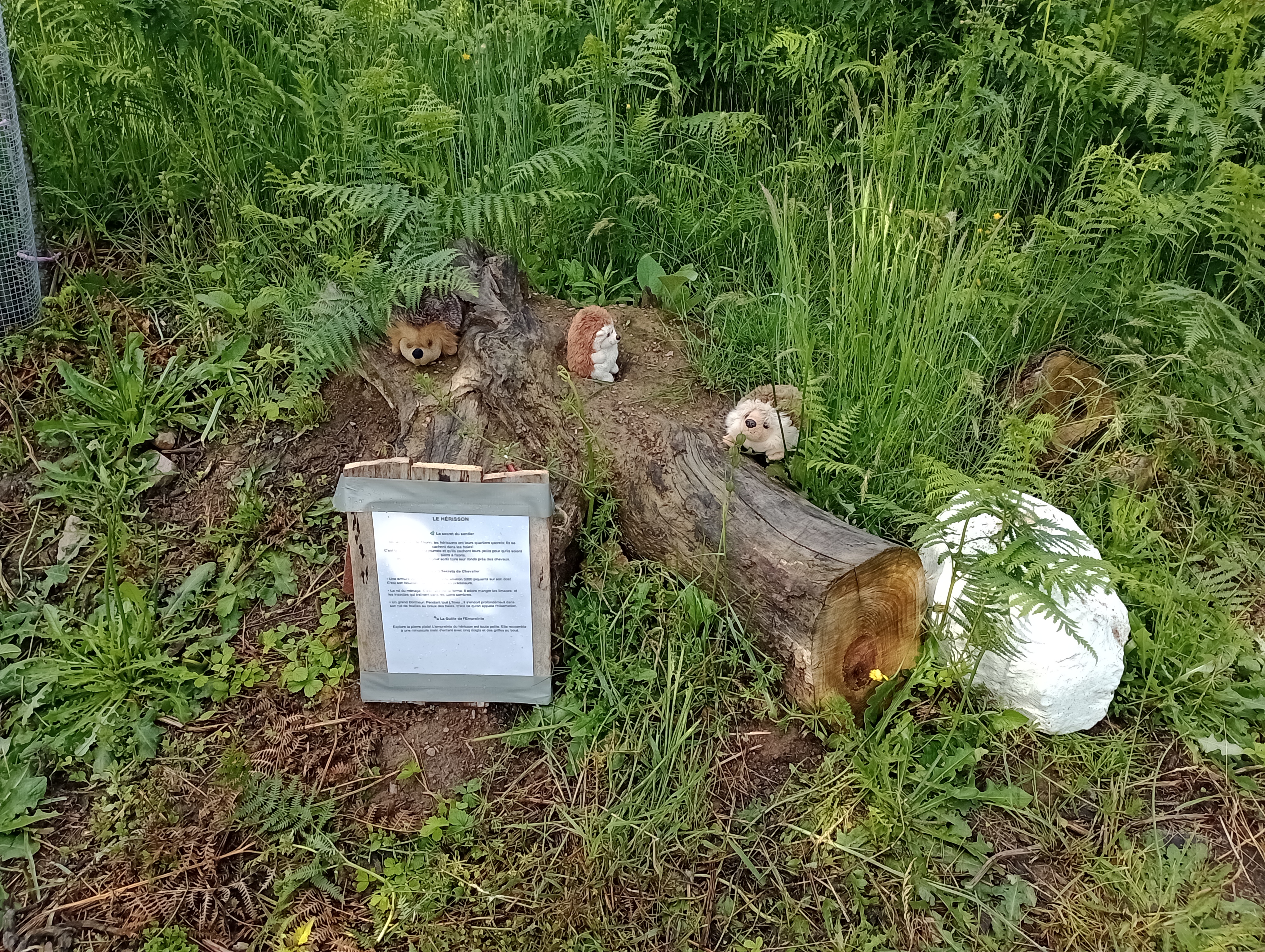 Le sentier de Thorin — photo 2